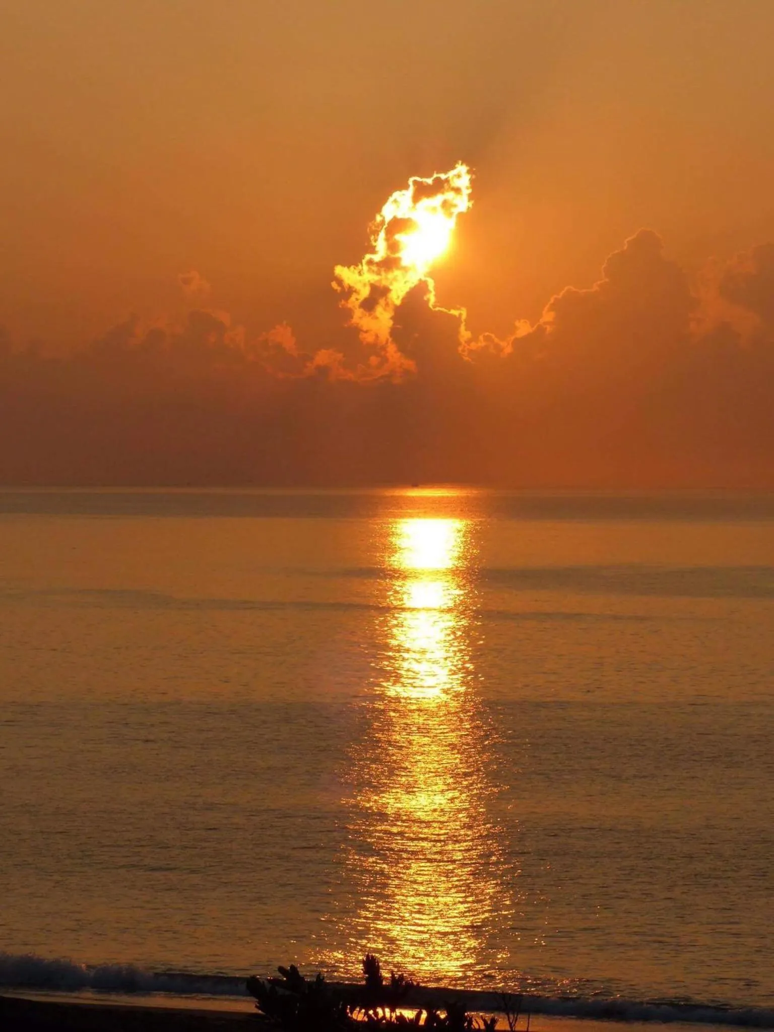 Natural landscape in Sea Forest Homestay