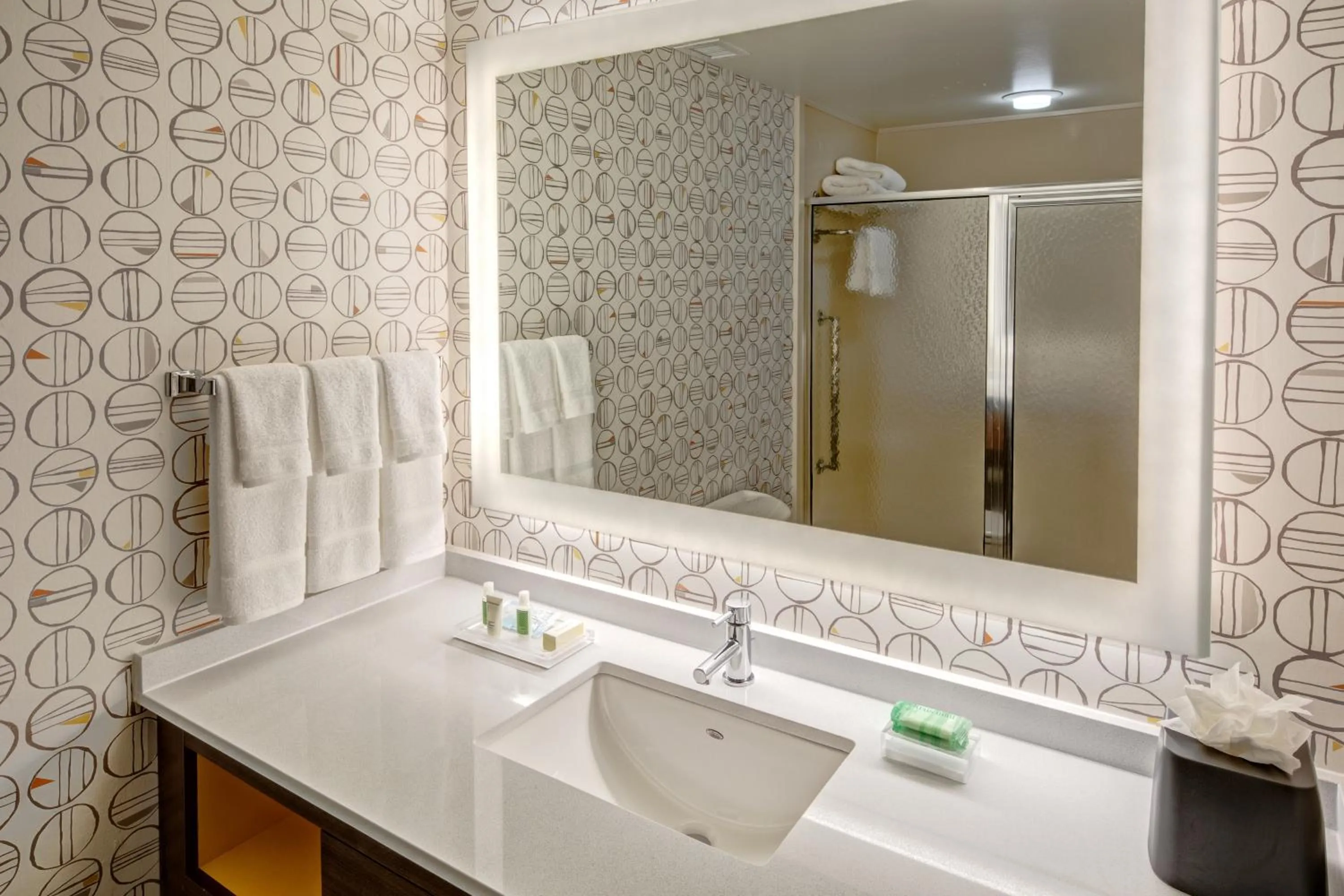 Bathroom in Holiday Inn Rocky Mount I-95 @ US 64 by IHG