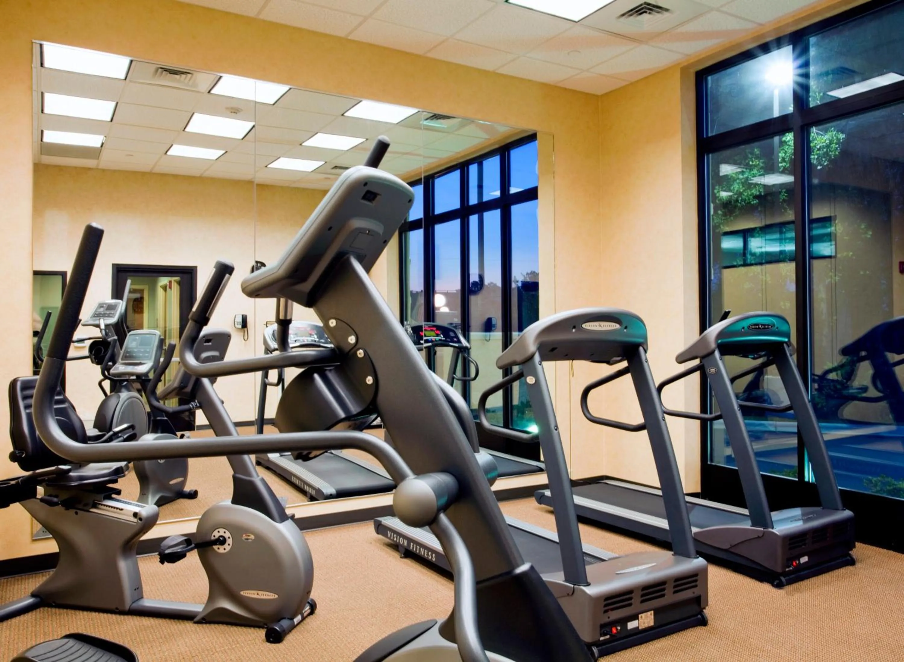Fitness centre/facilities in Holiday Inn Rocky Mount I-95 @ US 64 by IHG