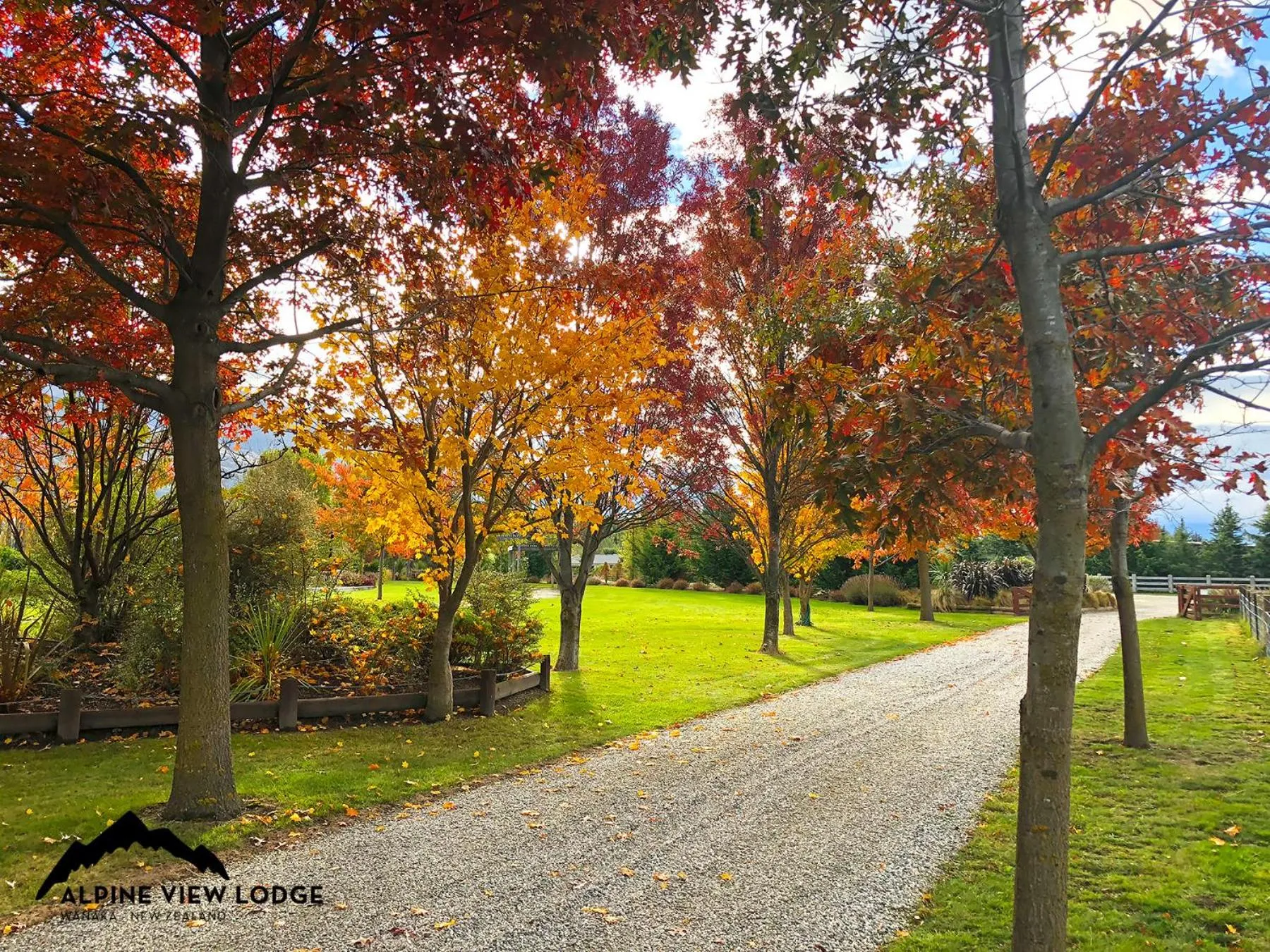 Day in Alpine View Lodge