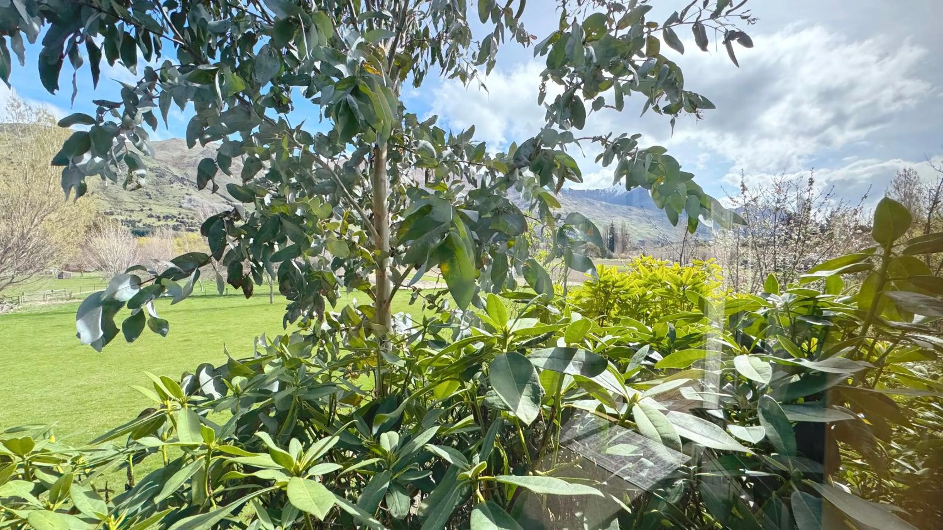 Mountain view in Alpine View Lodge