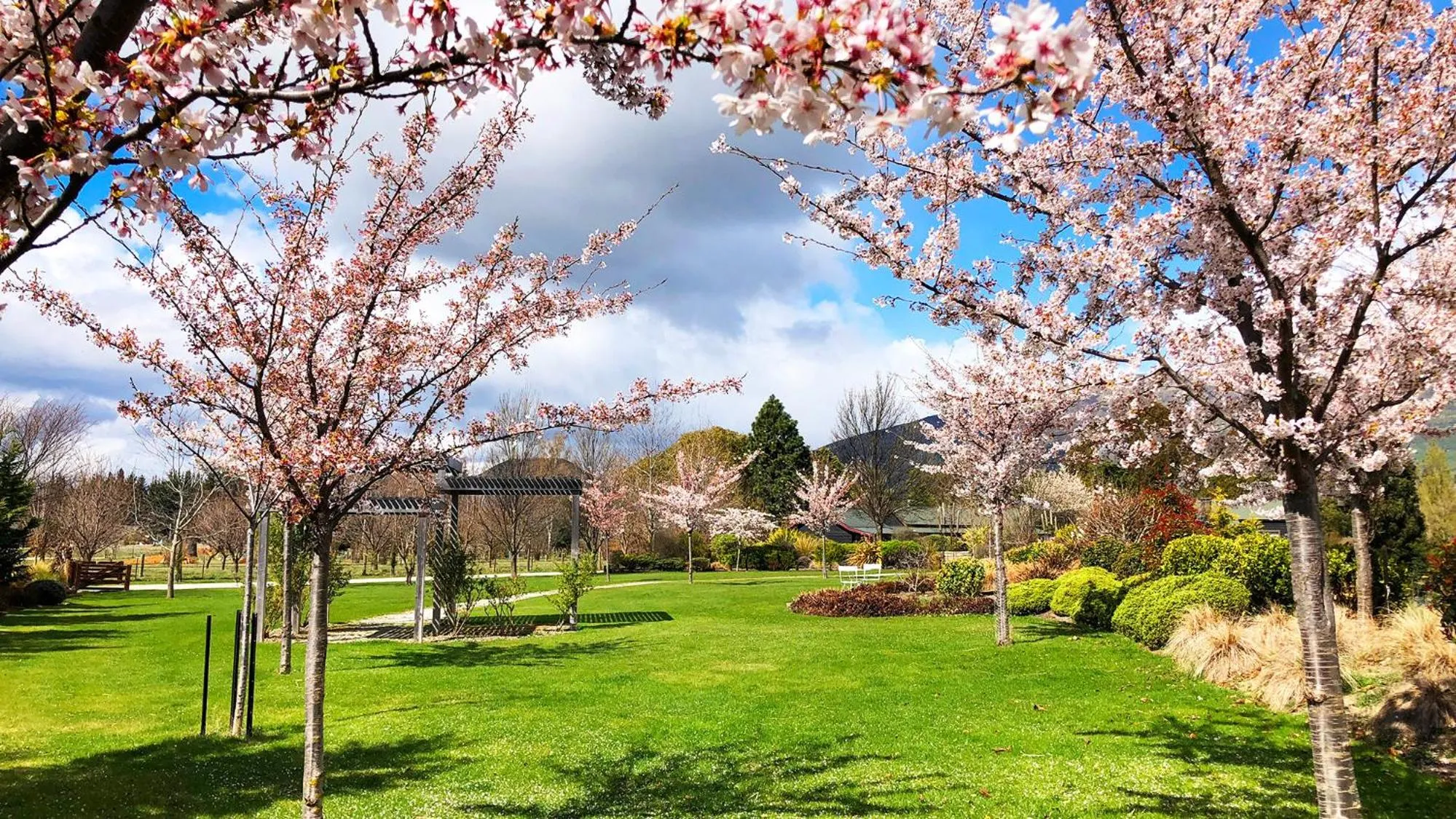 Garden in Alpine View Lodge