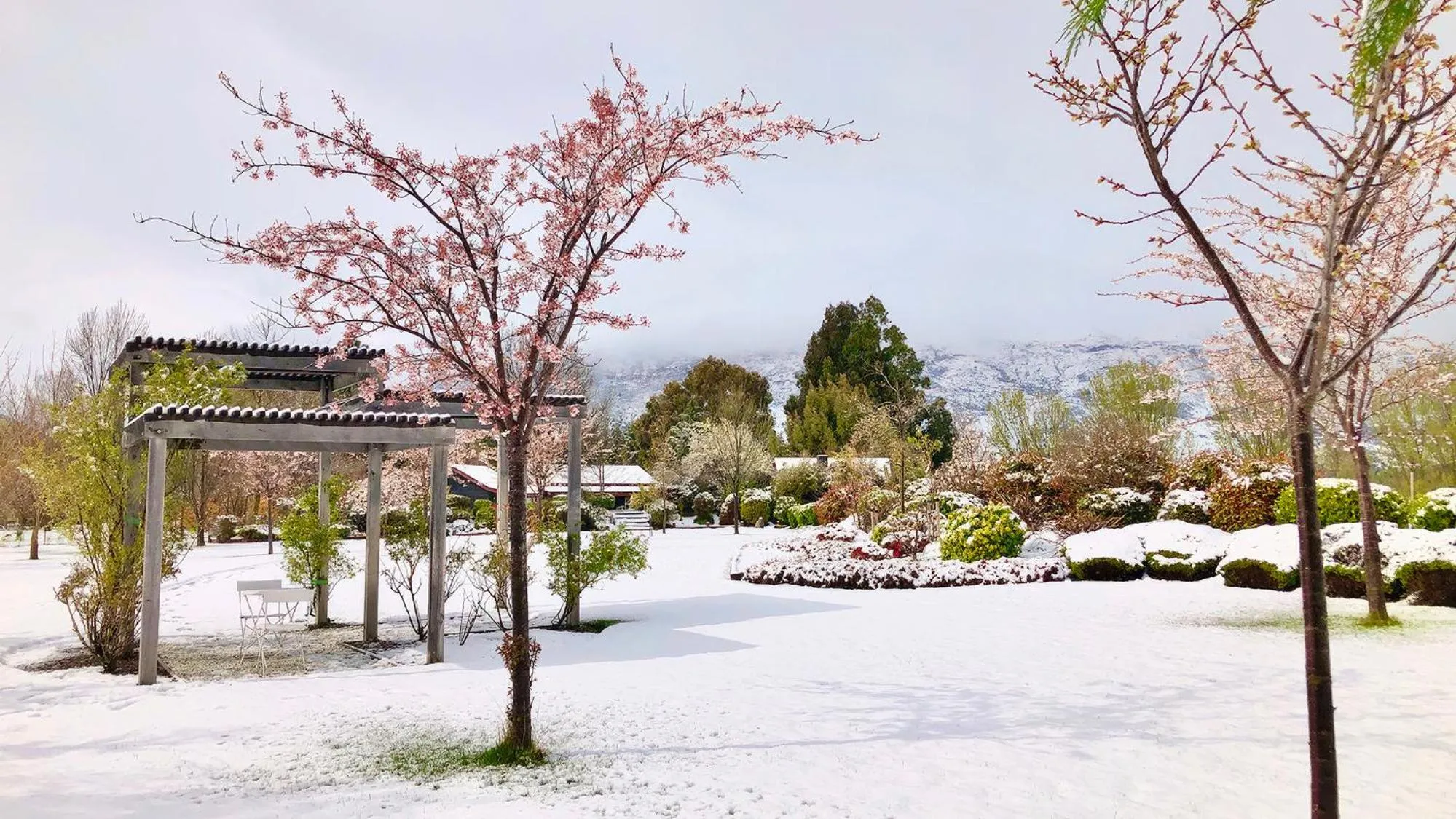 Garden in Alpine View Lodge