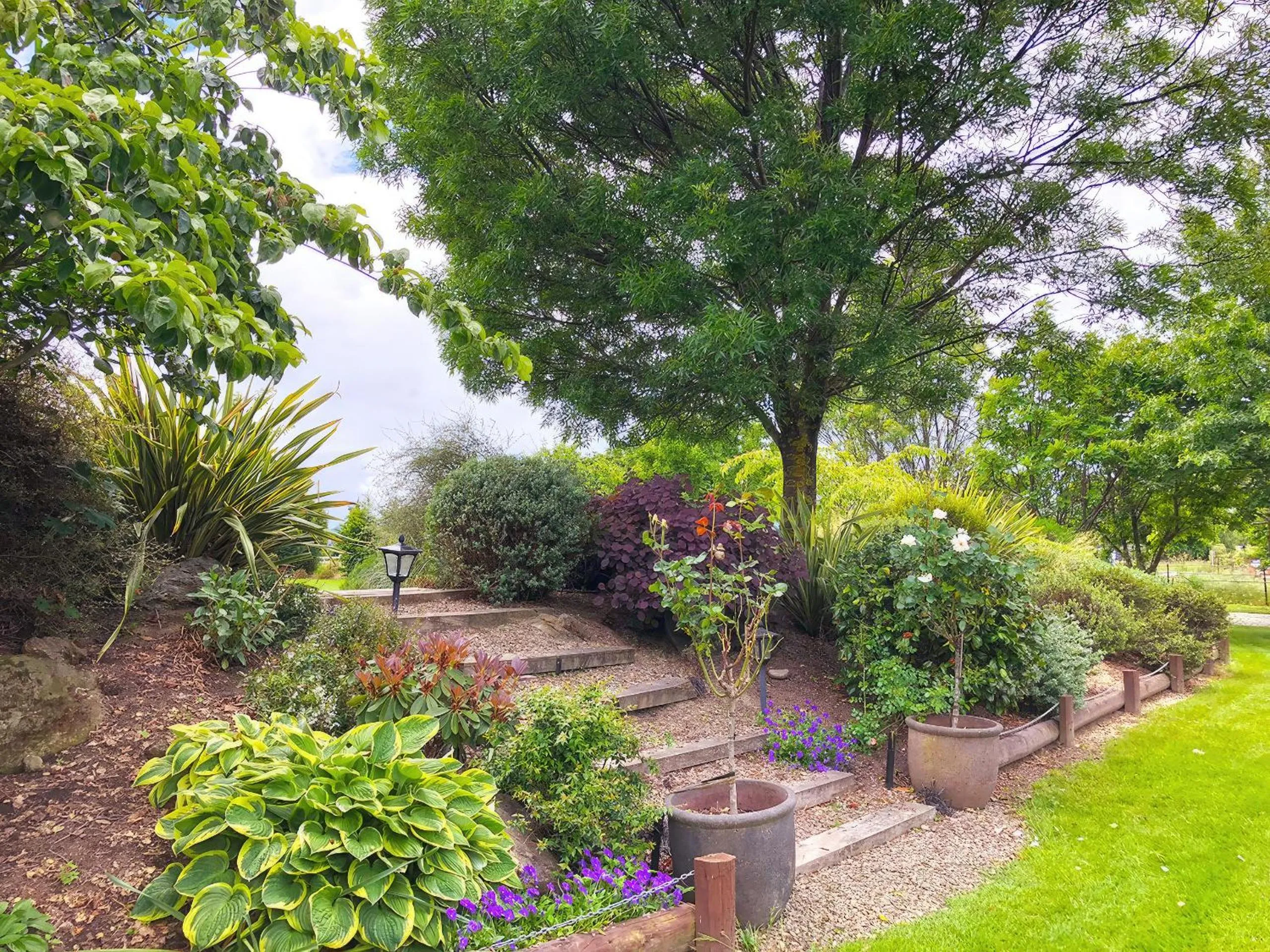 Garden view in Alpine View Lodge
