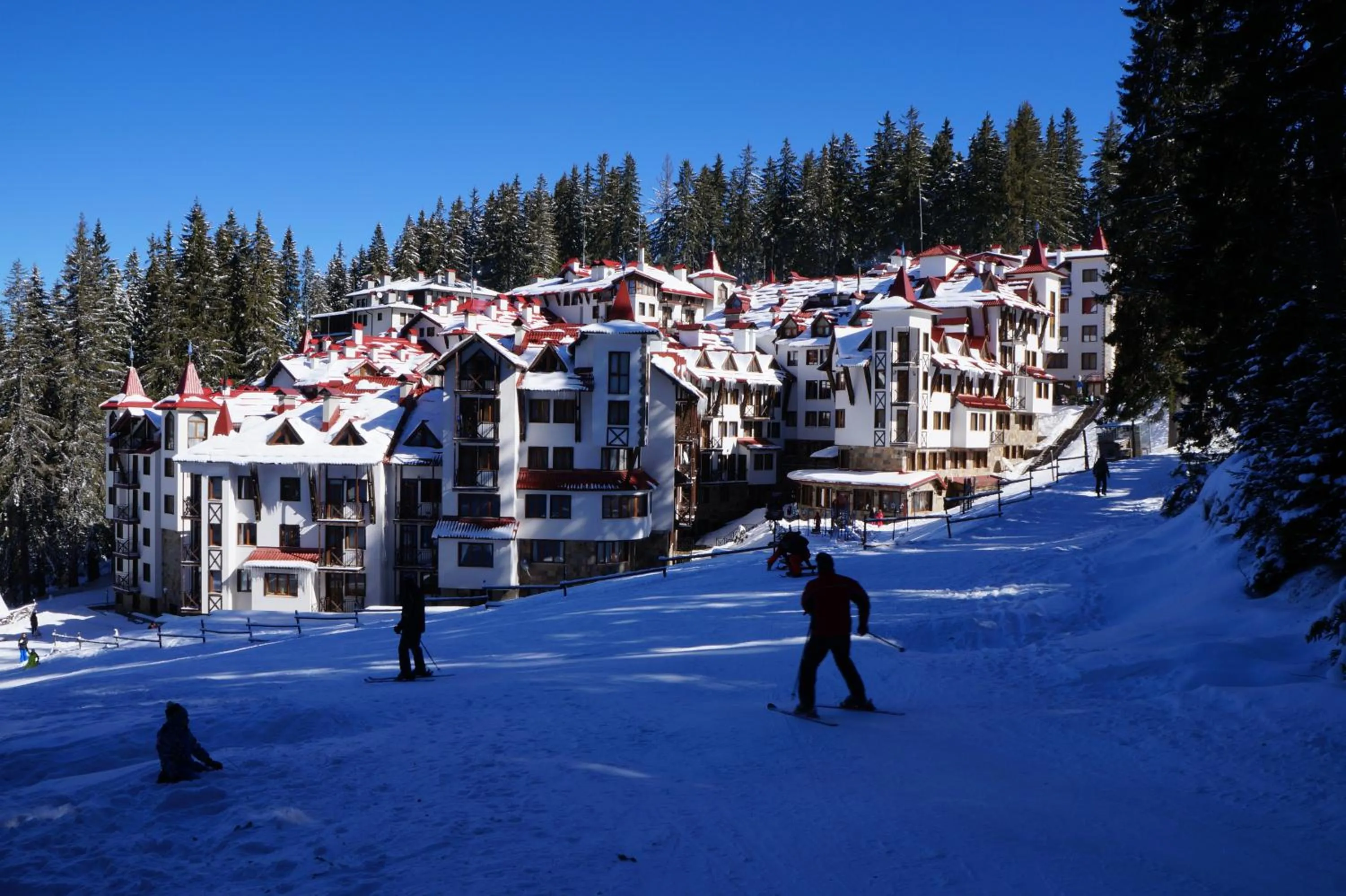 Day in The Castle Complex