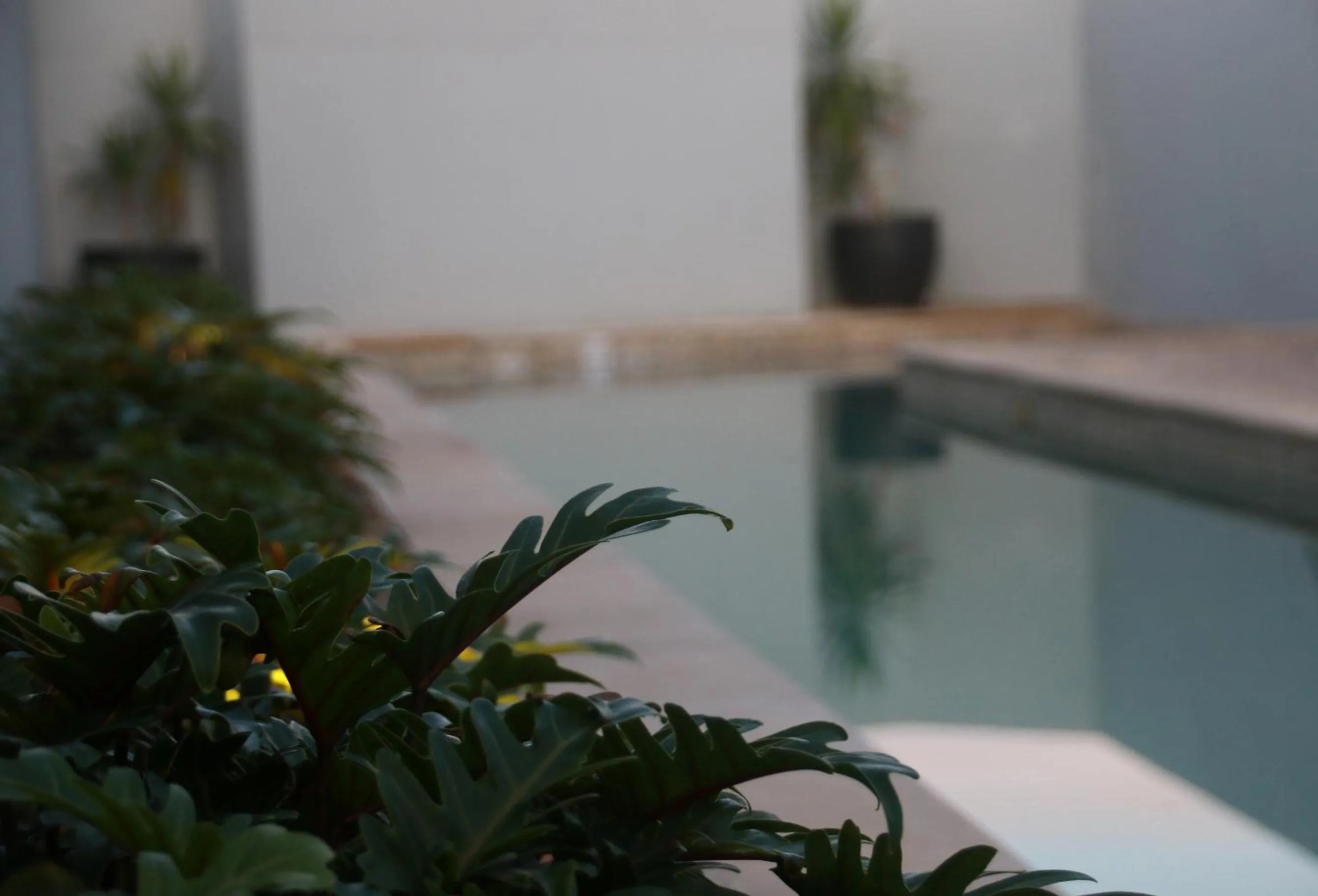 Garden view in Lennox Holiday Apartments