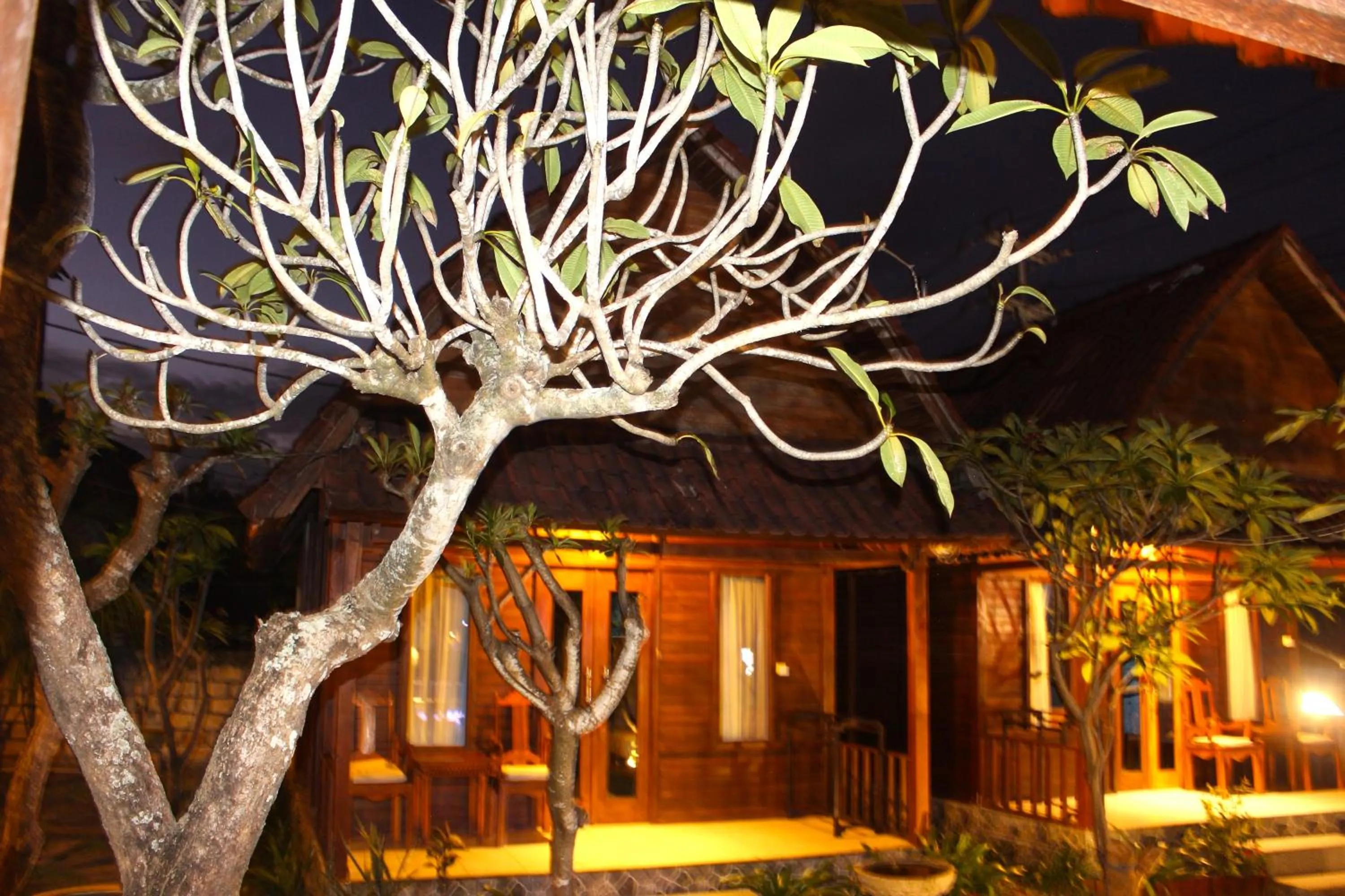 Patio in Boga Segara Villa And Resto