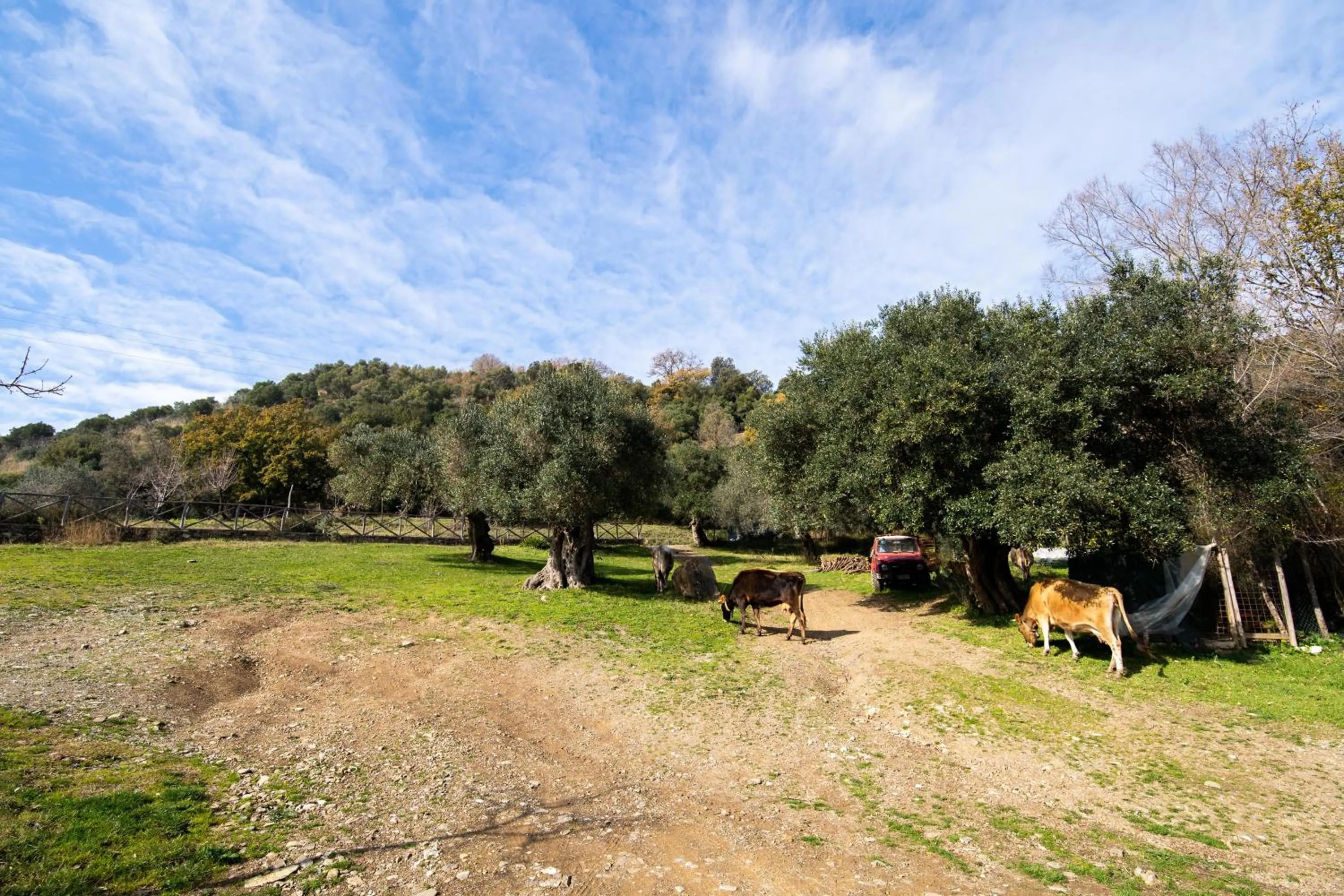 Natural landscape in Agriturismo San Basilio