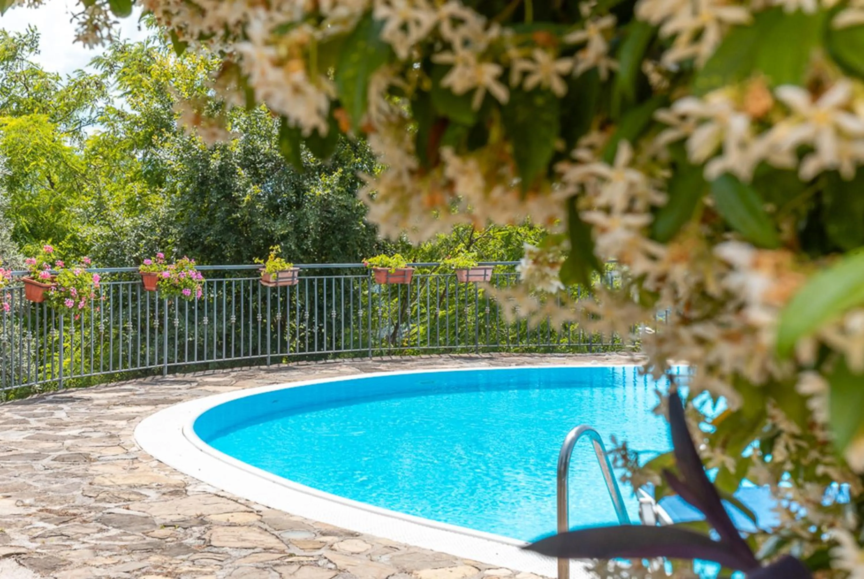 Swimming pool in Agriturismo San Basilio
