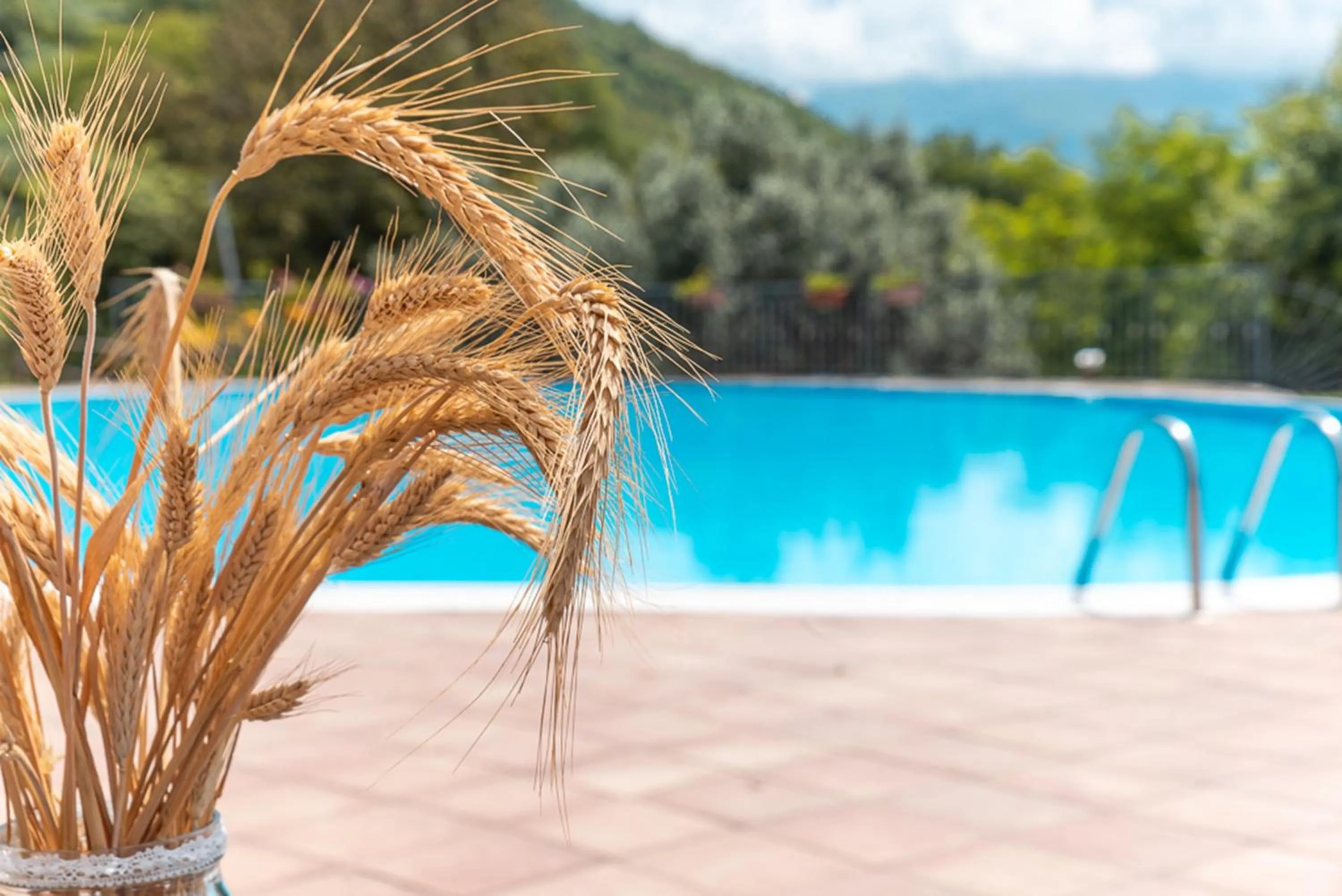 Swimming pool in Agriturismo San Basilio
