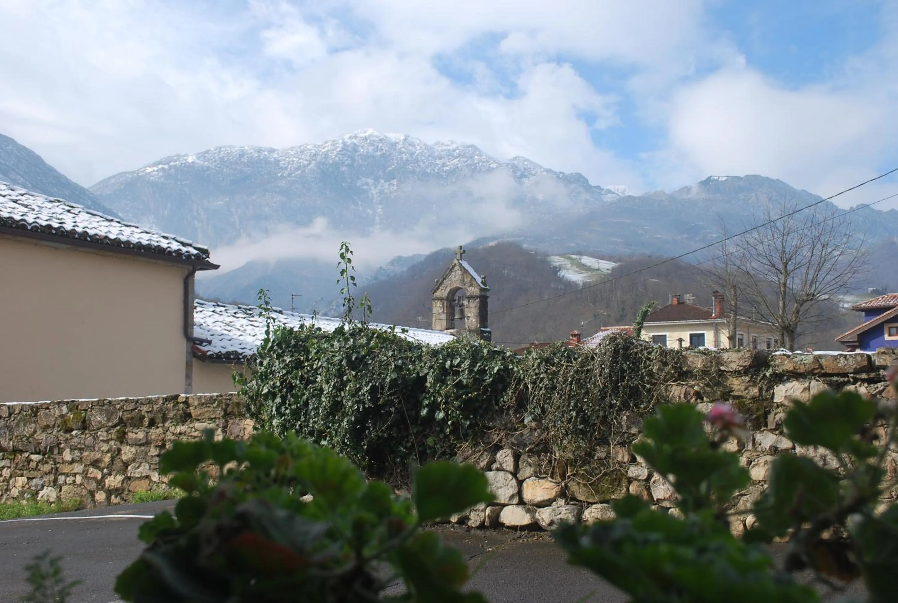 Natural landscape in Hotel Los Ángeles