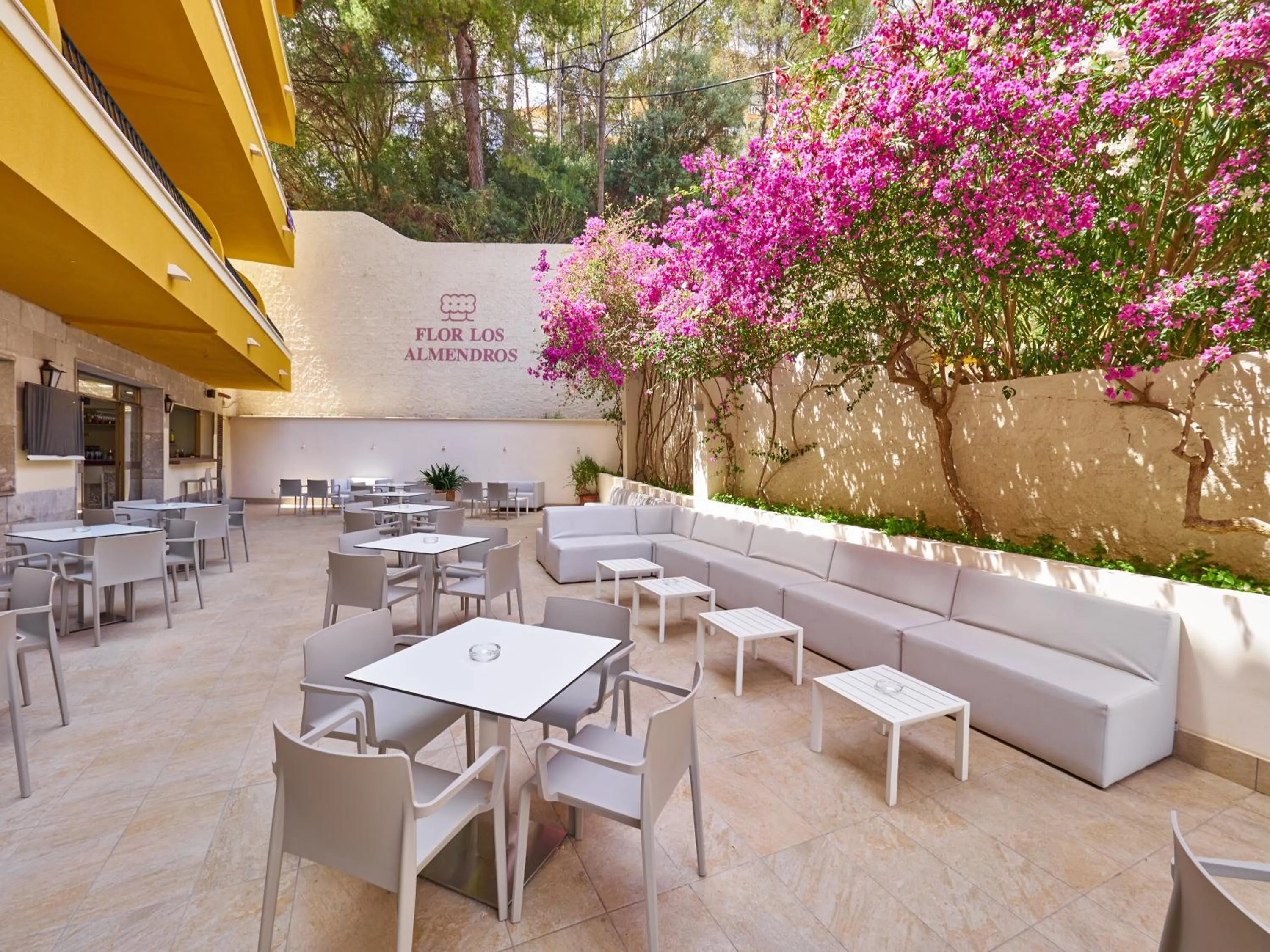 Restaurant/places to eat in FLOR los Almendros Apartamentos