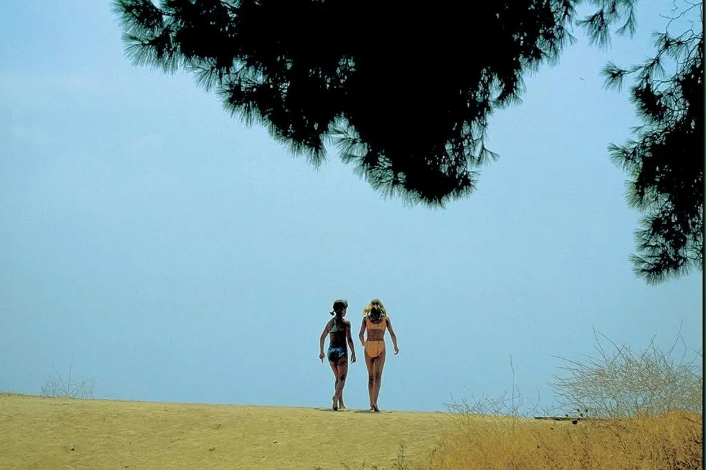 Natural landscape in Poseidon Hotel Sea Resort