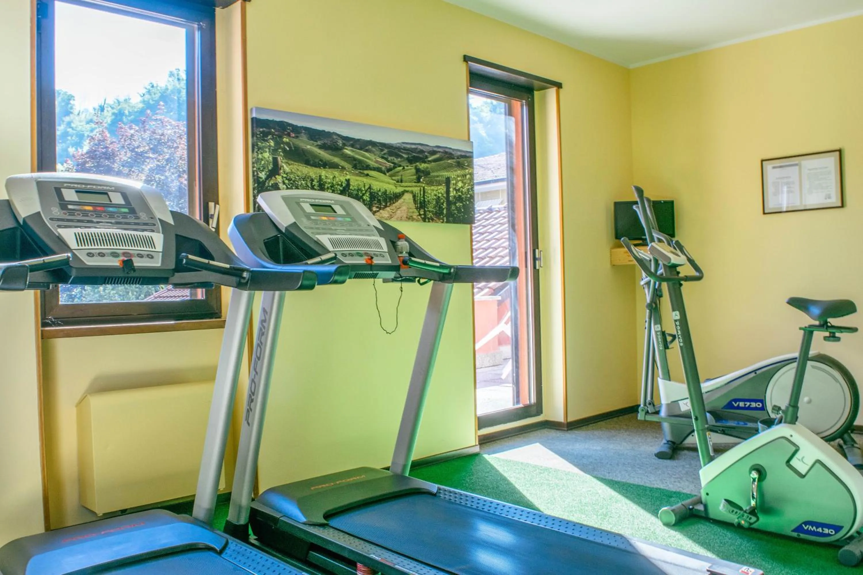 Fitness centre/facilities in Villa San Carlo