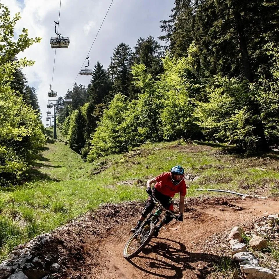 Activities in Hotel Fai