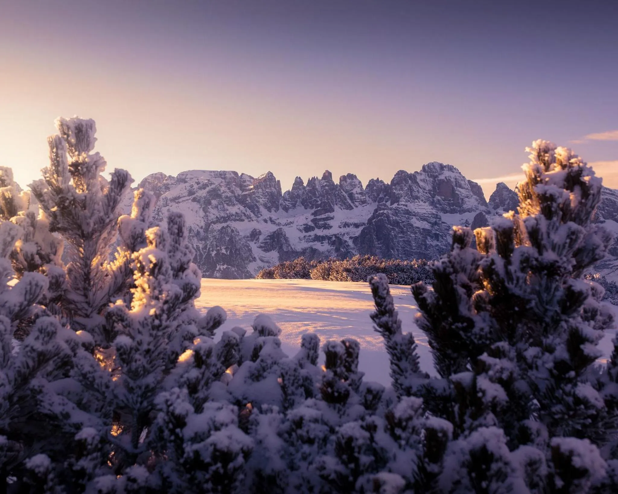 Natural landscape in Hotel Fai