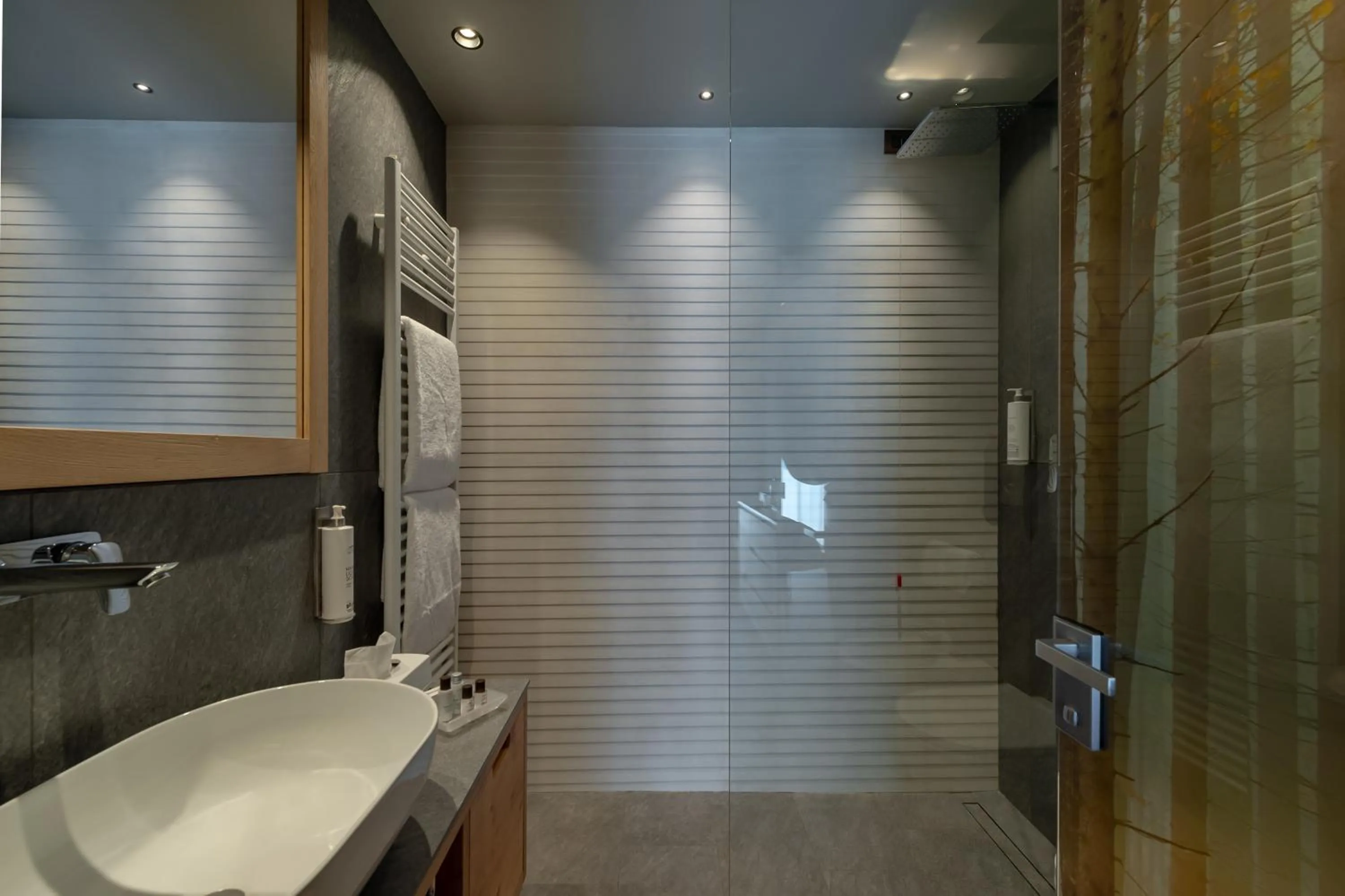 Shower in Brunet - The Dolomites Resort