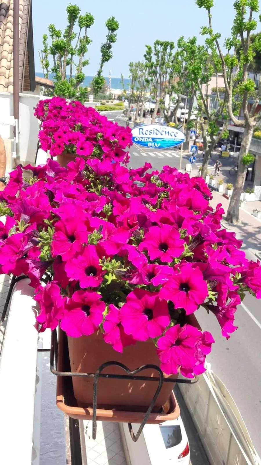 Day in Residence Onda Blu