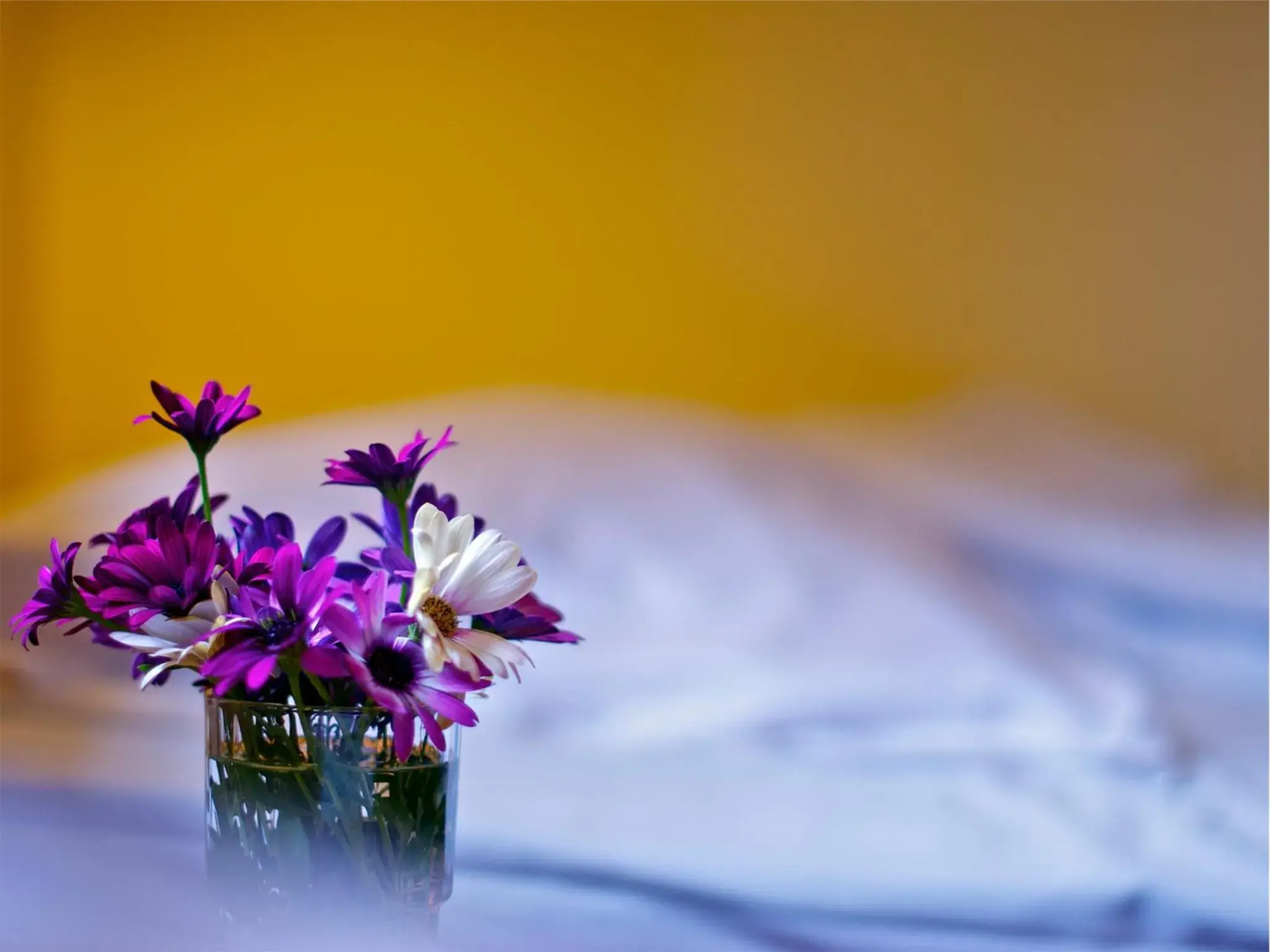 Twin Room with Private Bathroom - No Pets in Gaffelbyn - Sundsvalls Vandrarhem Twin Room with Private Bathroom - No Pets in Gaffelbyn - Sundsvalls Vandrarhem