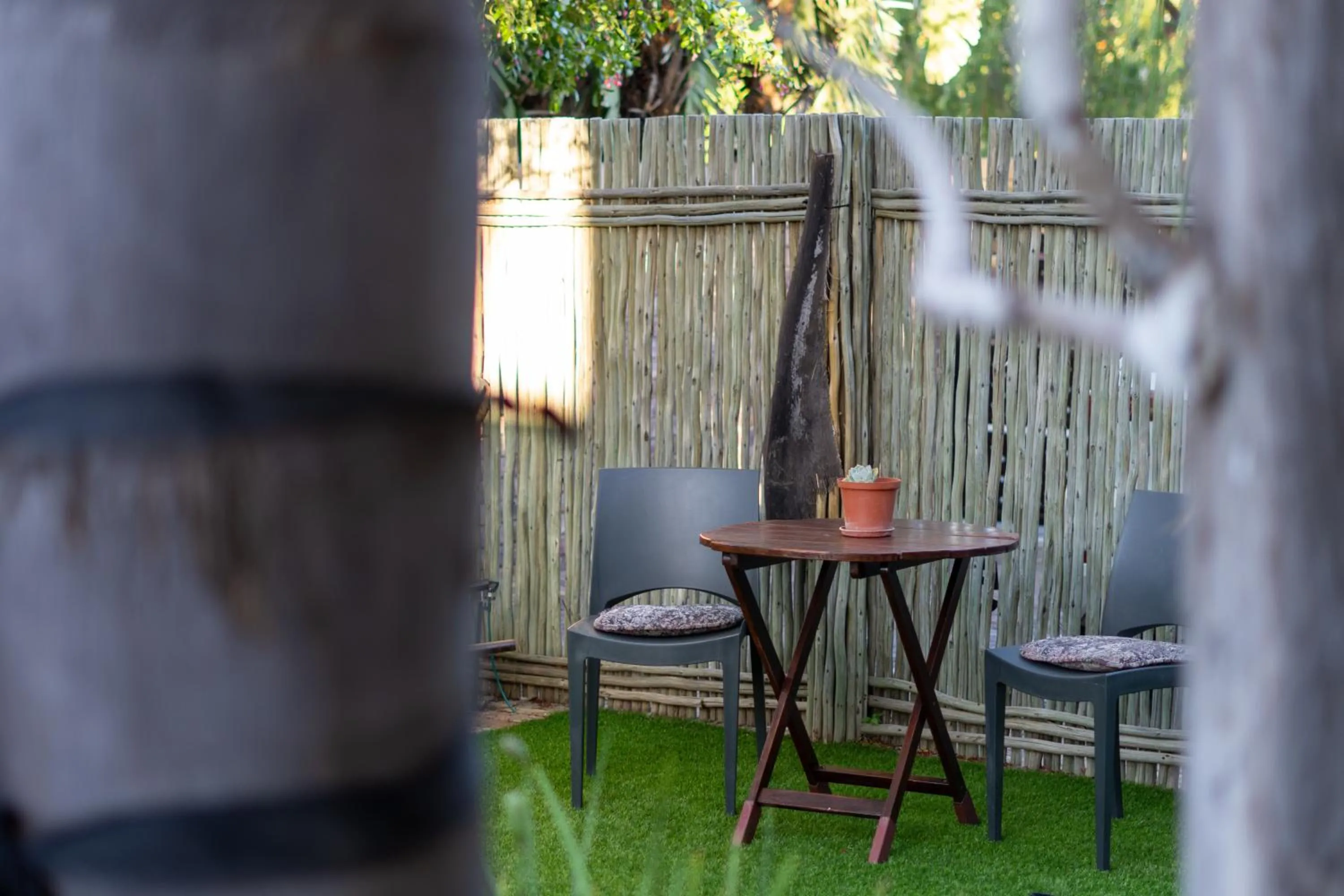 Garden view in Earthbound Guest House