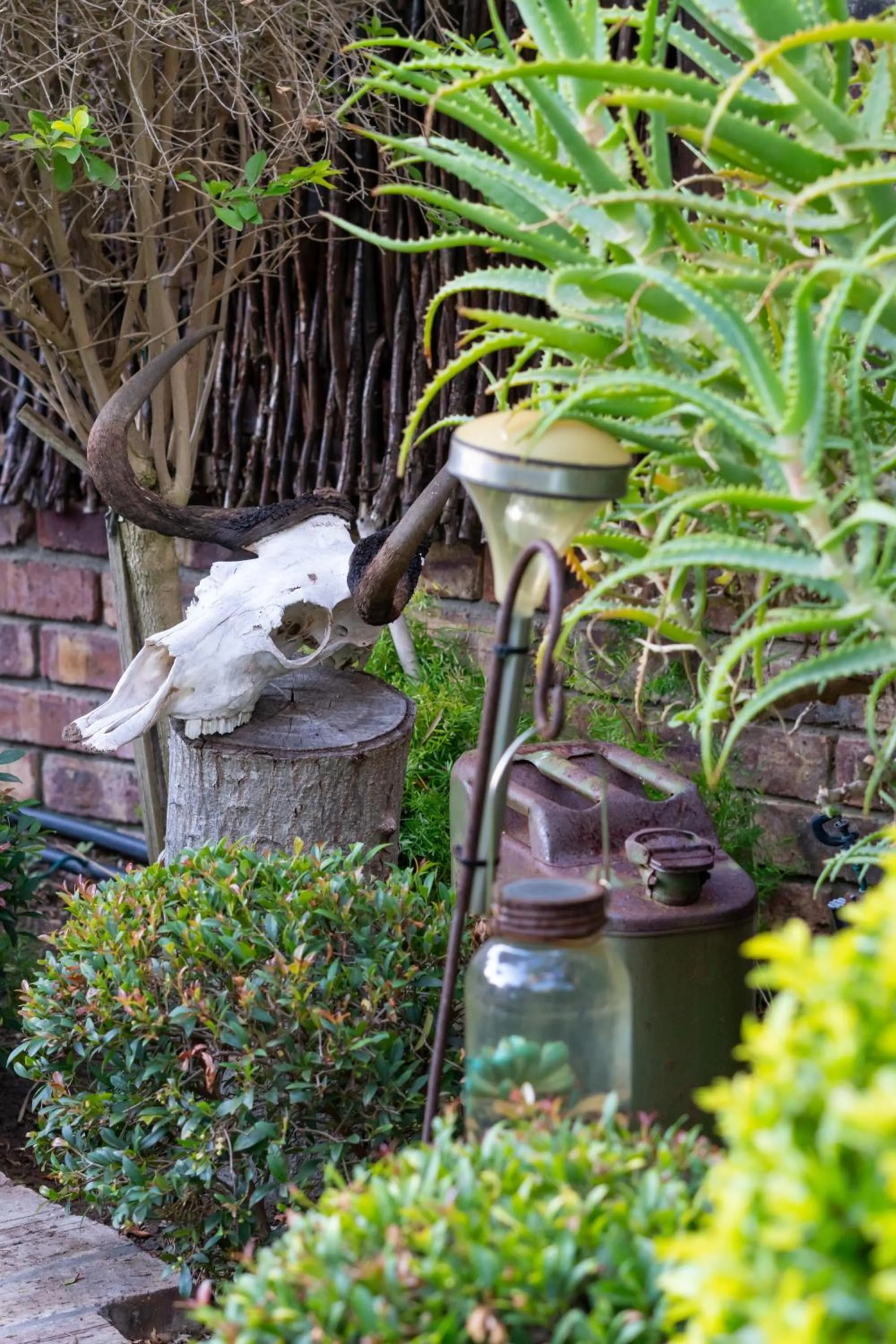 Garden in Earthbound Guest House