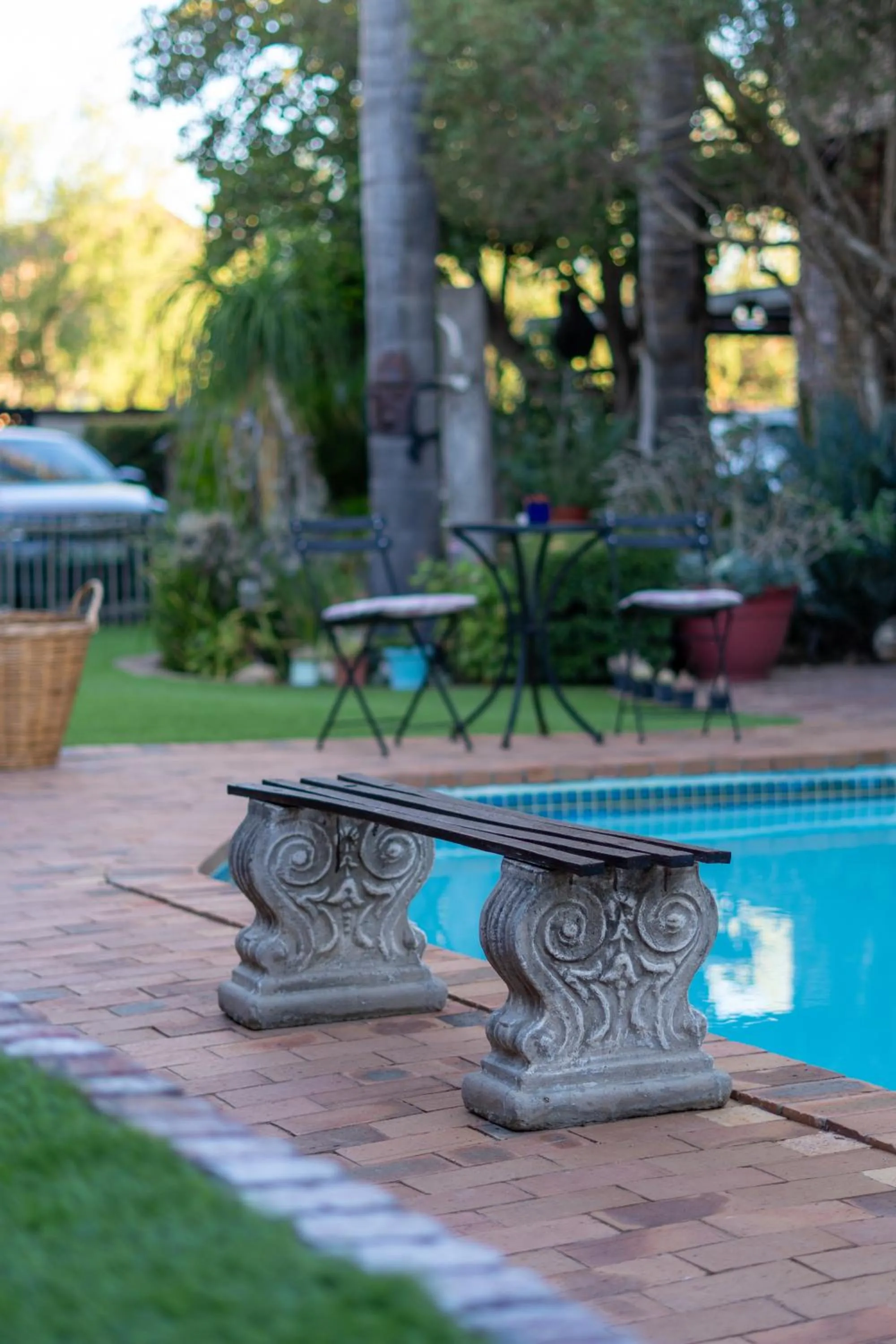 Garden view in Earthbound Guest House