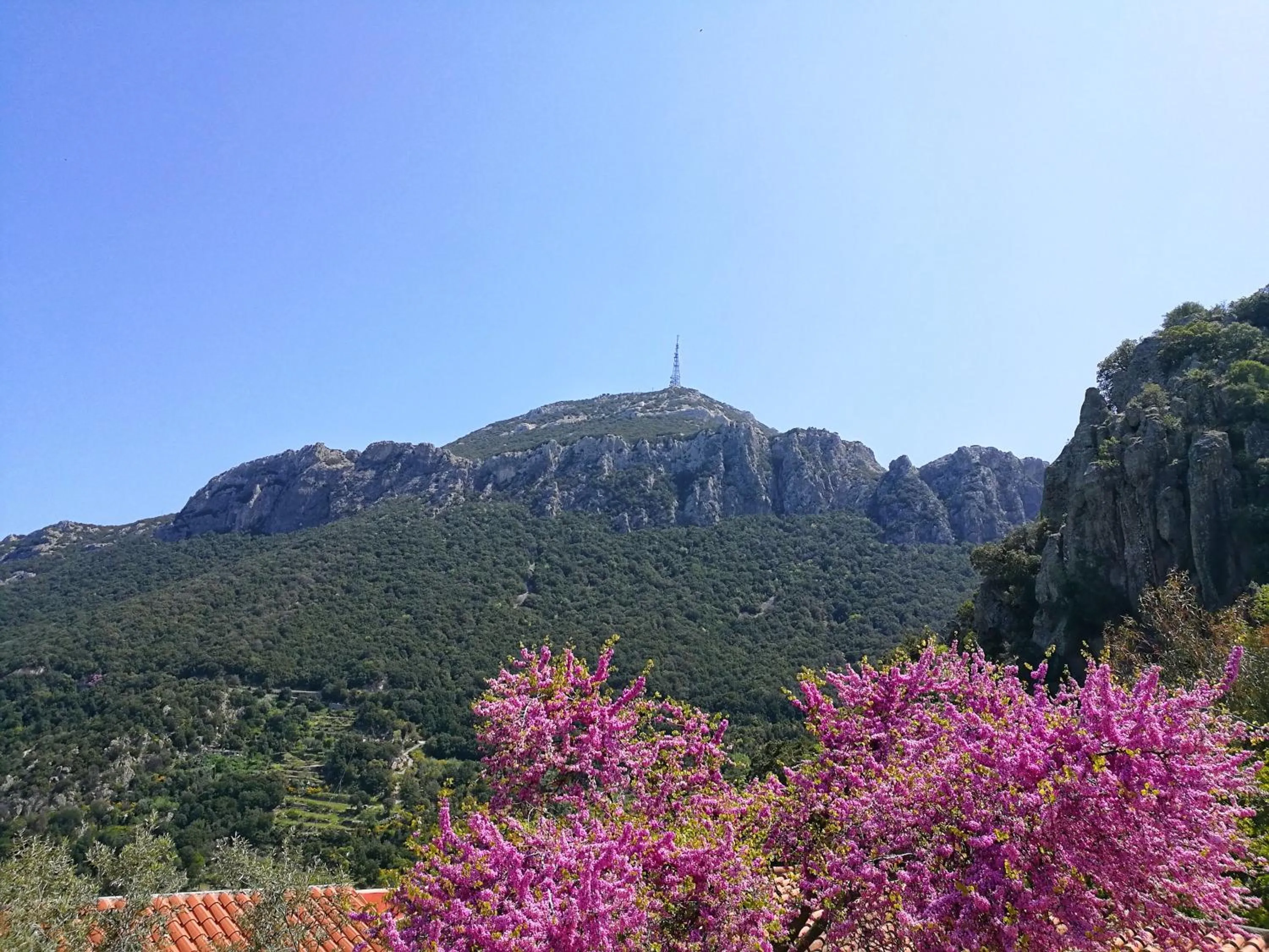 View (from property/room) in Hotel Sant'elene