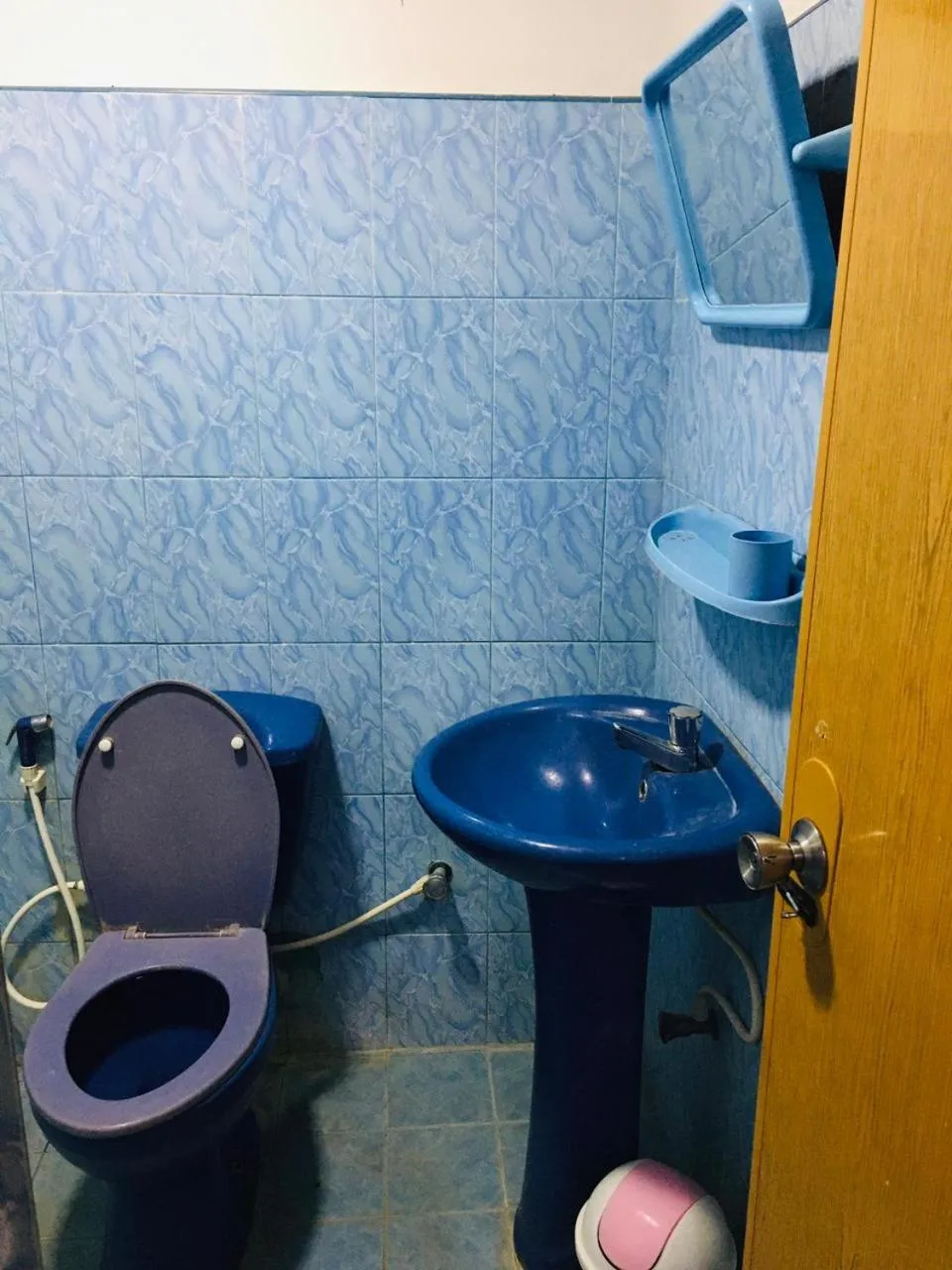 Bathiya Tourist Guest Anuradhapura