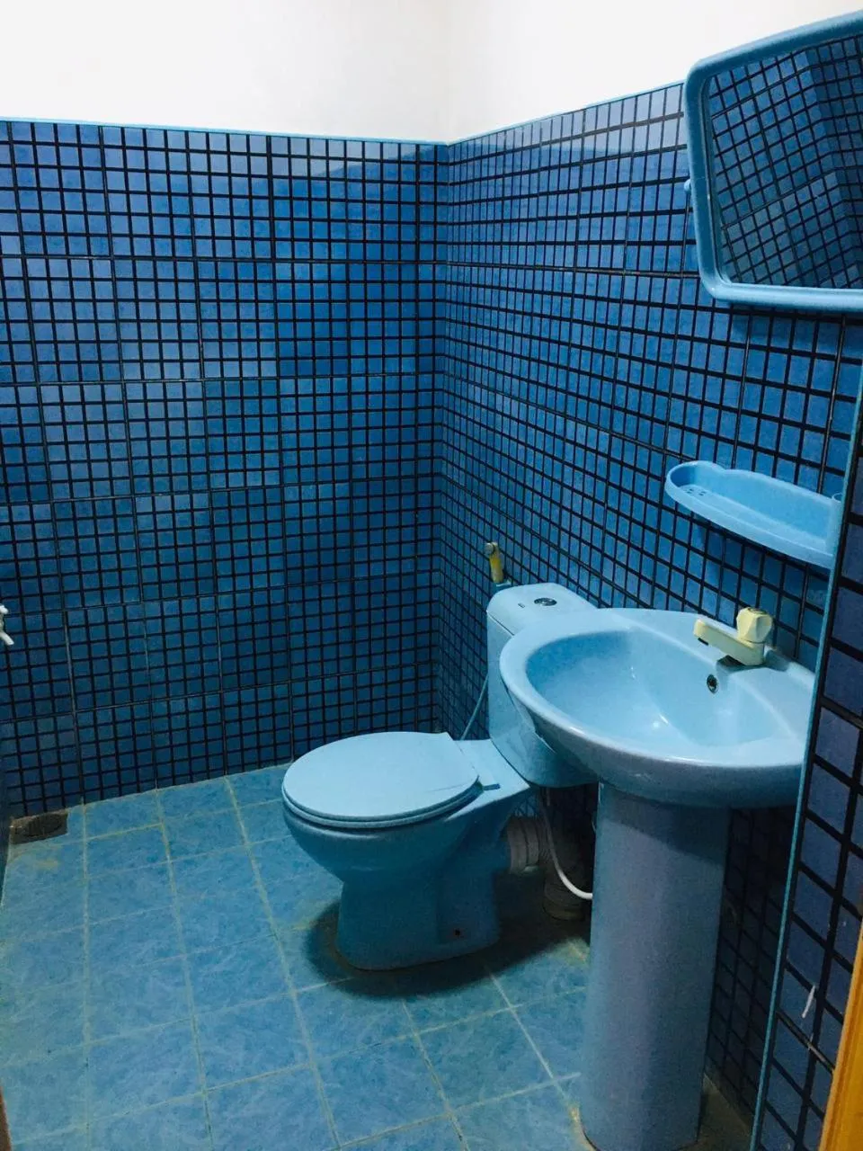 Bathiya Tourist Guest Anuradhapura