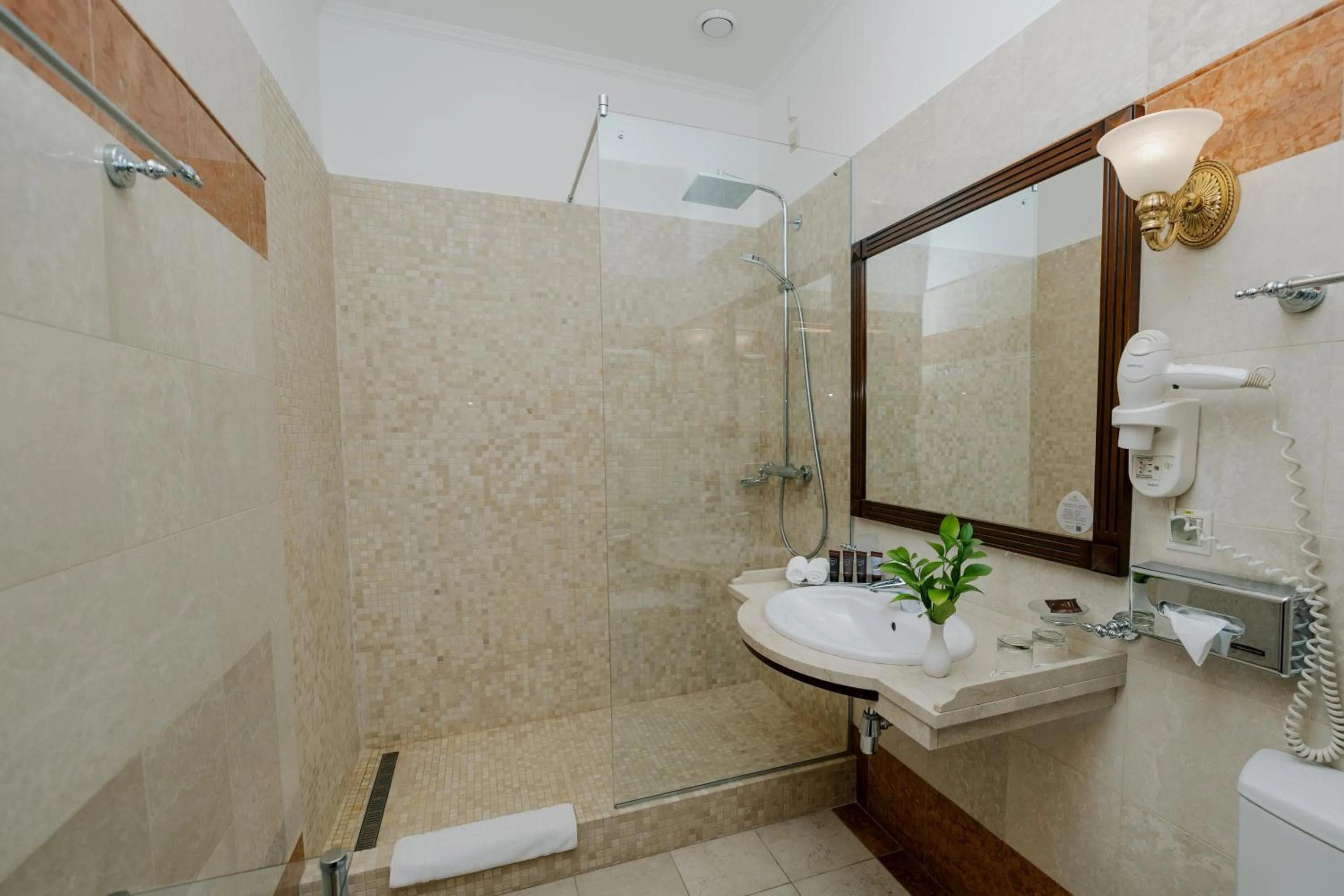 Shower in Hotel Bristol