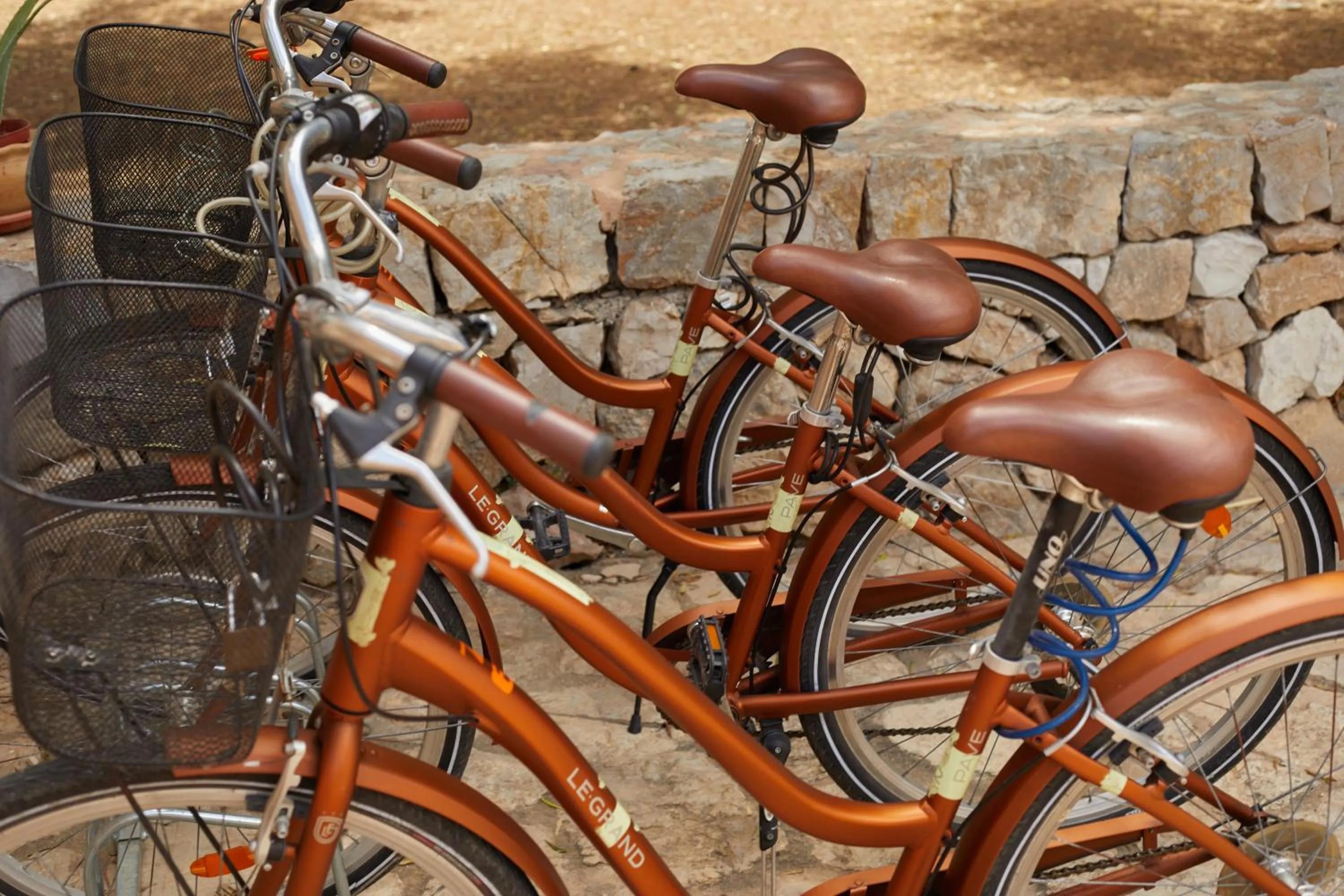 Cycling in Hotel Rural Es Riquers