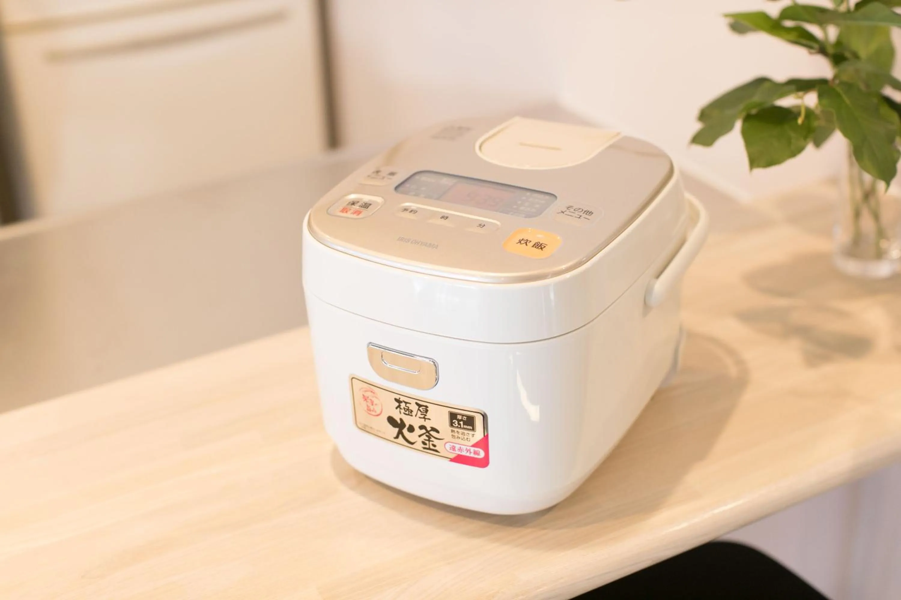 Kitchen or kitchenette in hostel DEN