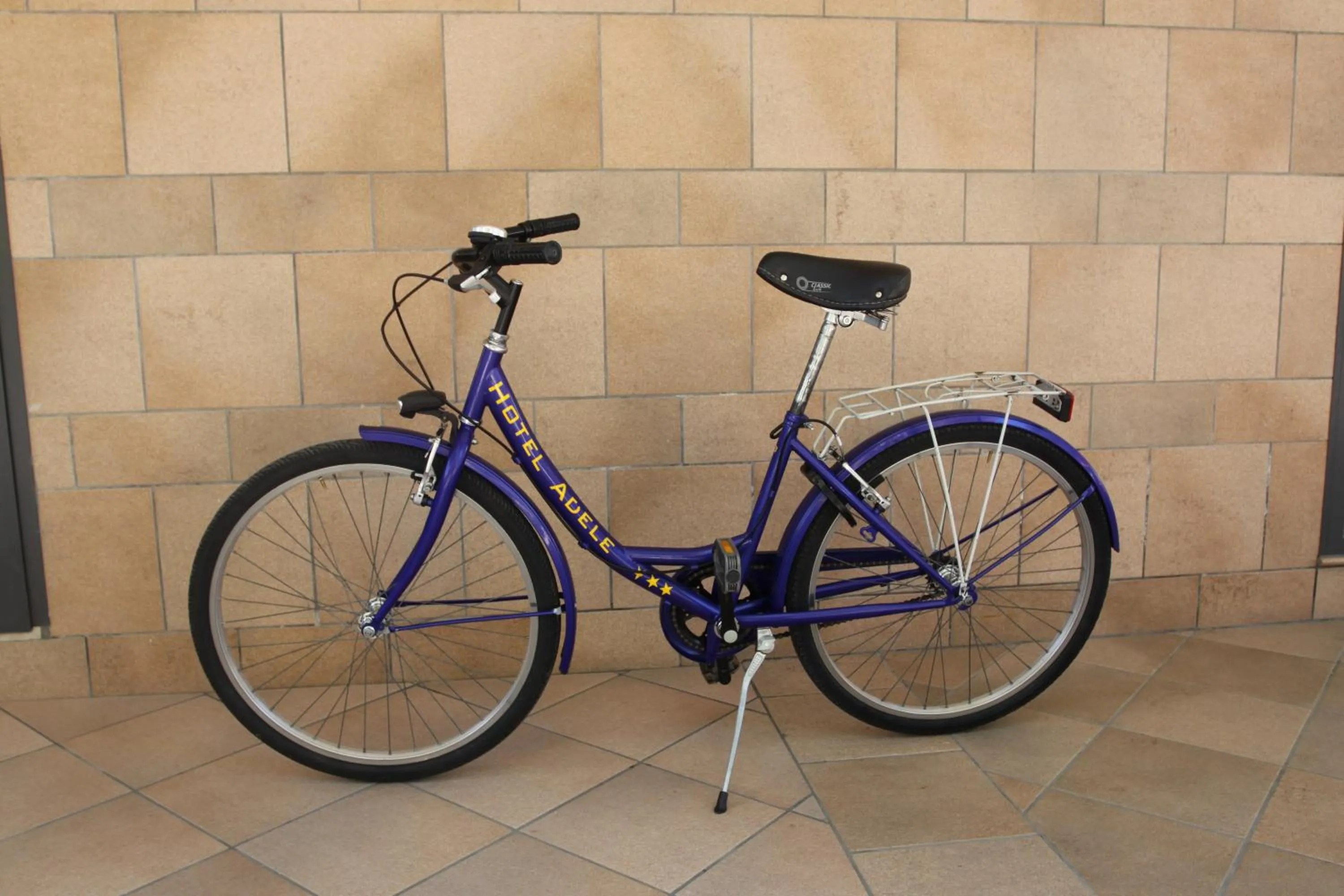 Area and facilities in Hotel Adele