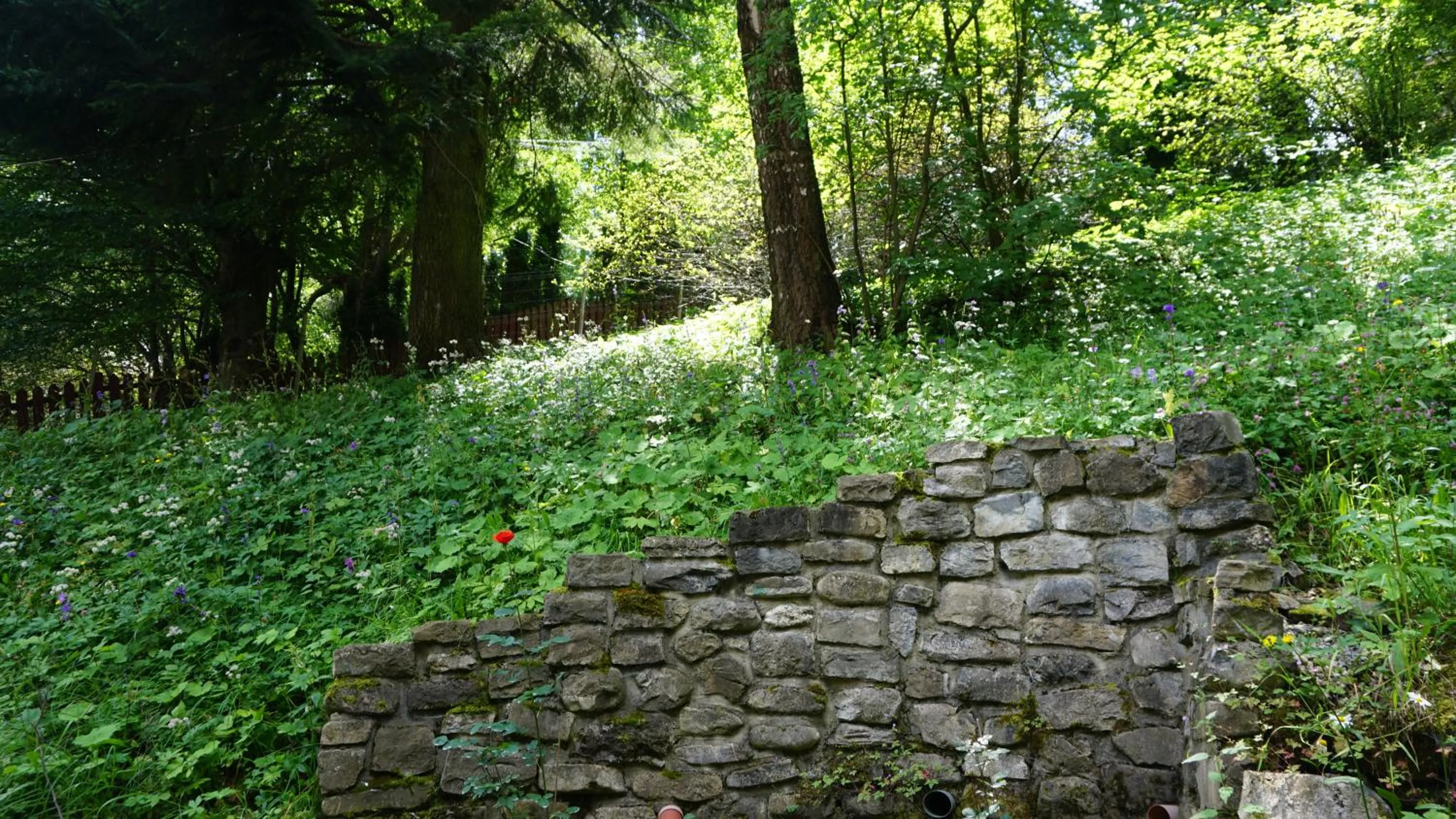 Garden view in Vila Arizto