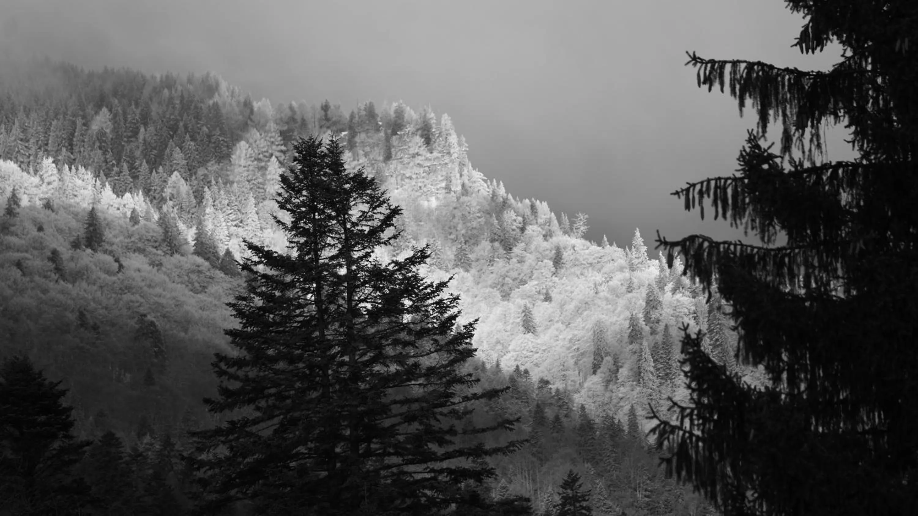 View (from property/room) in Vila Arizto