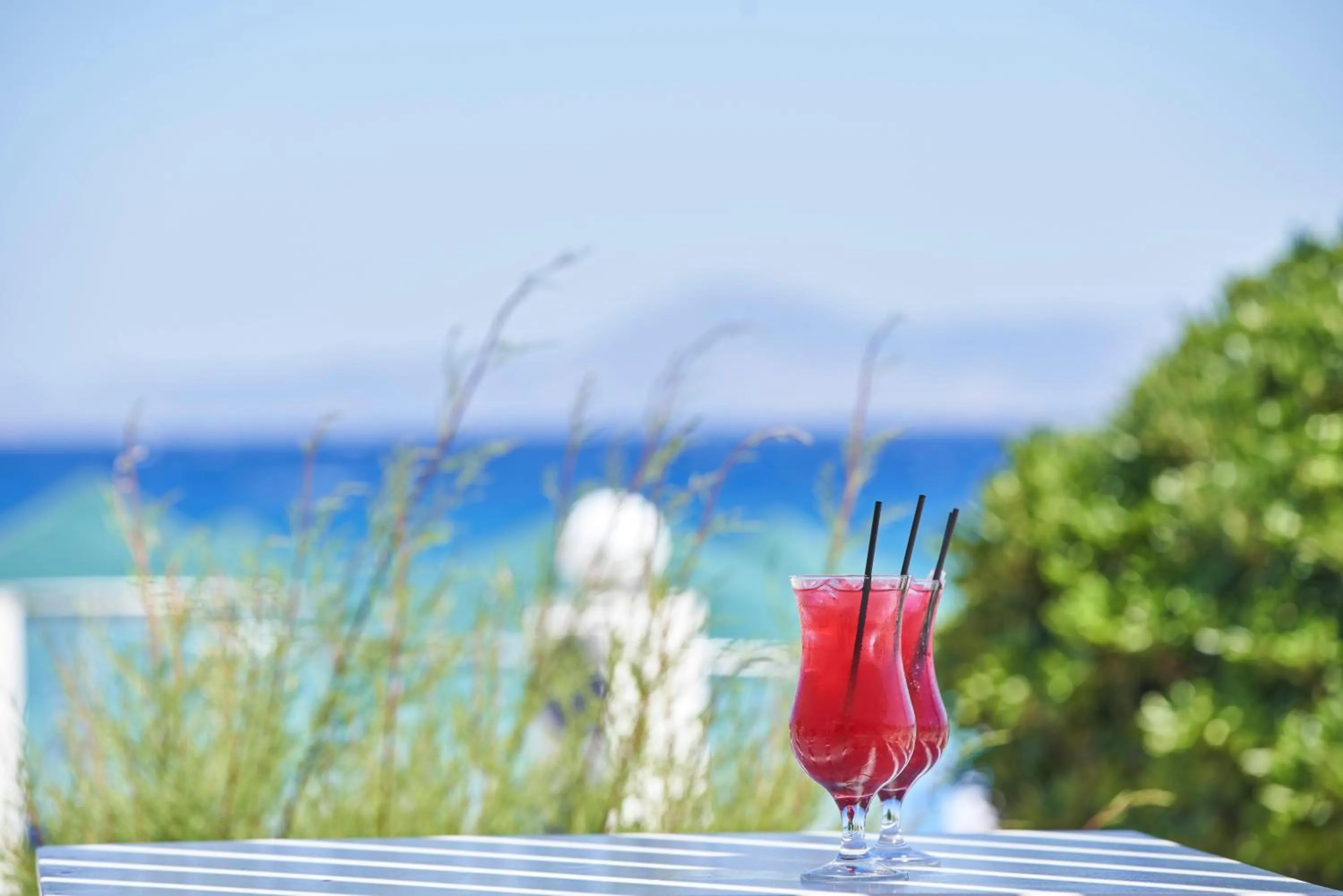 Lounge or bar in Blue Bay Resort