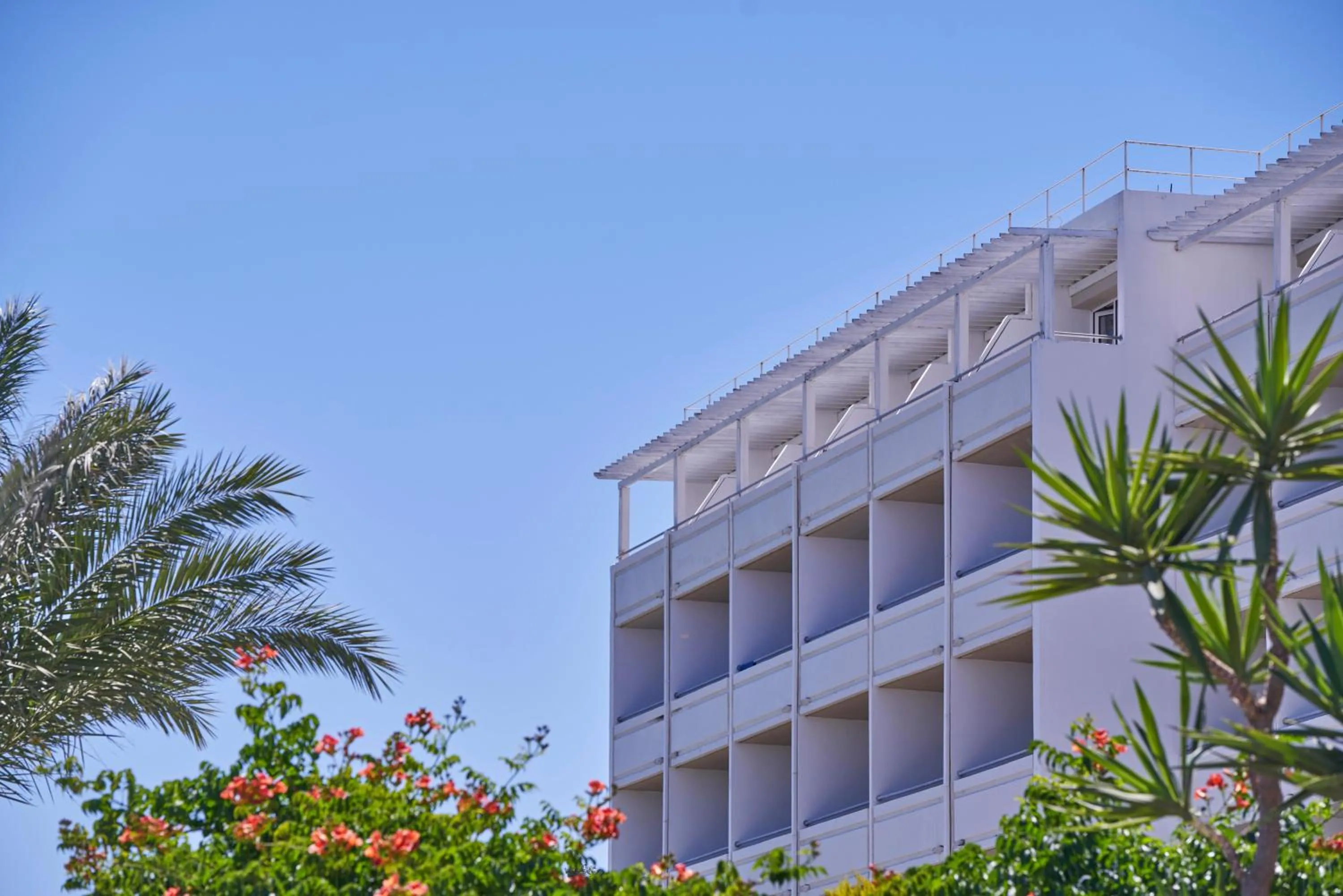 Natural landscape, Property Building in Blue Bay Resort