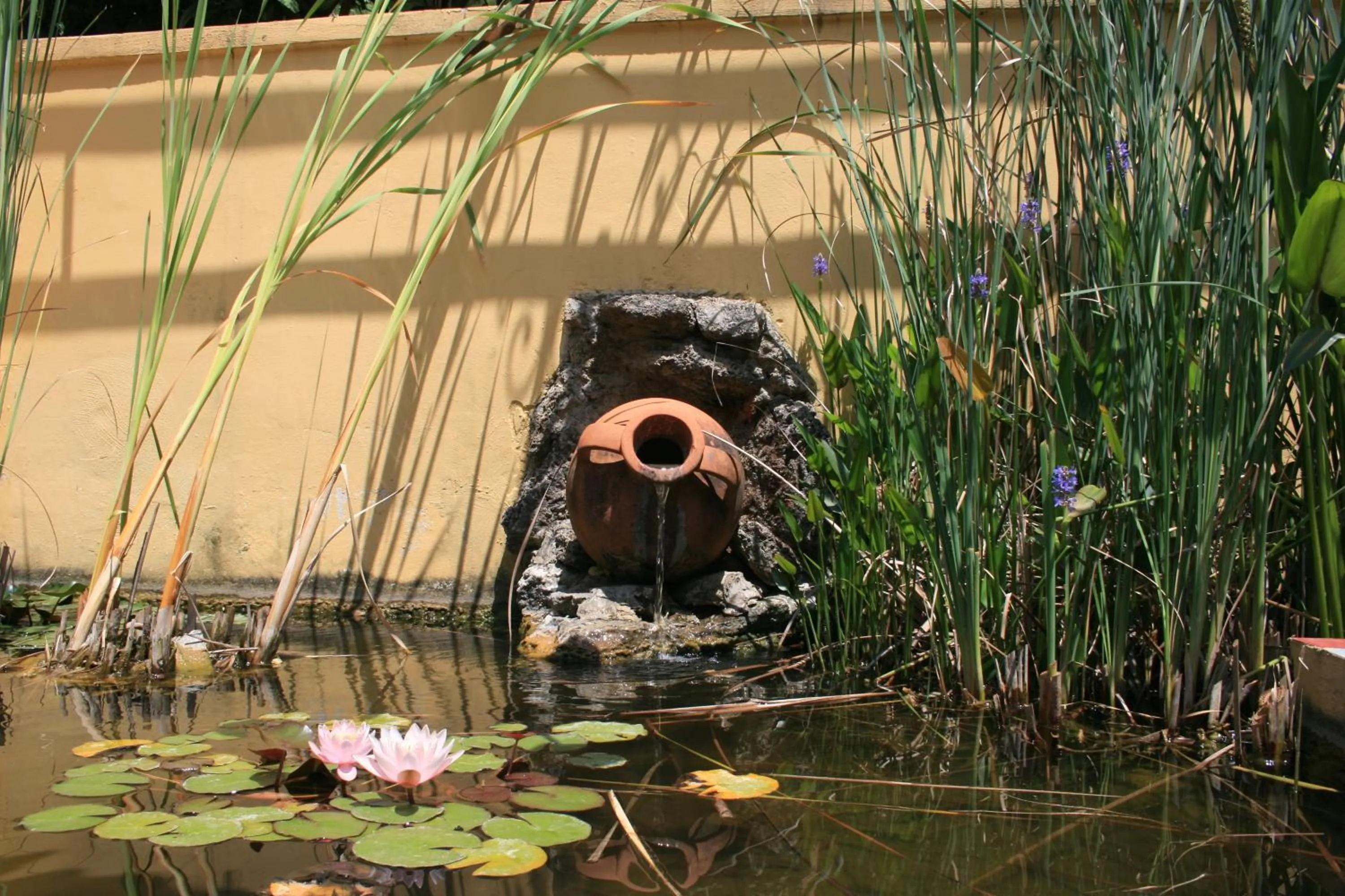 Garden in Hotel Villa Rita