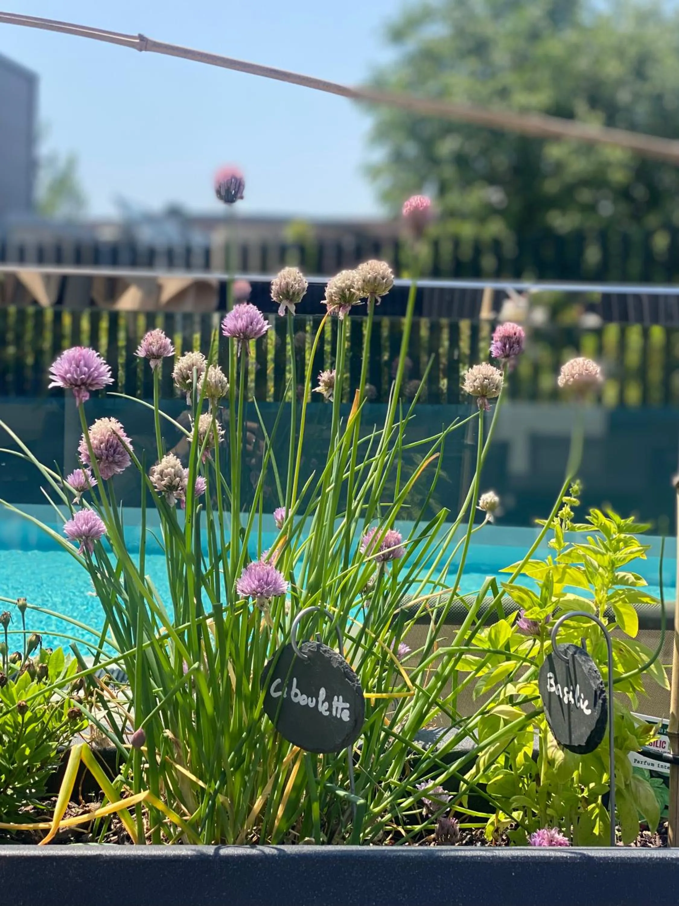 Swimming pool in Radisson Blu Hotel, Montpellier