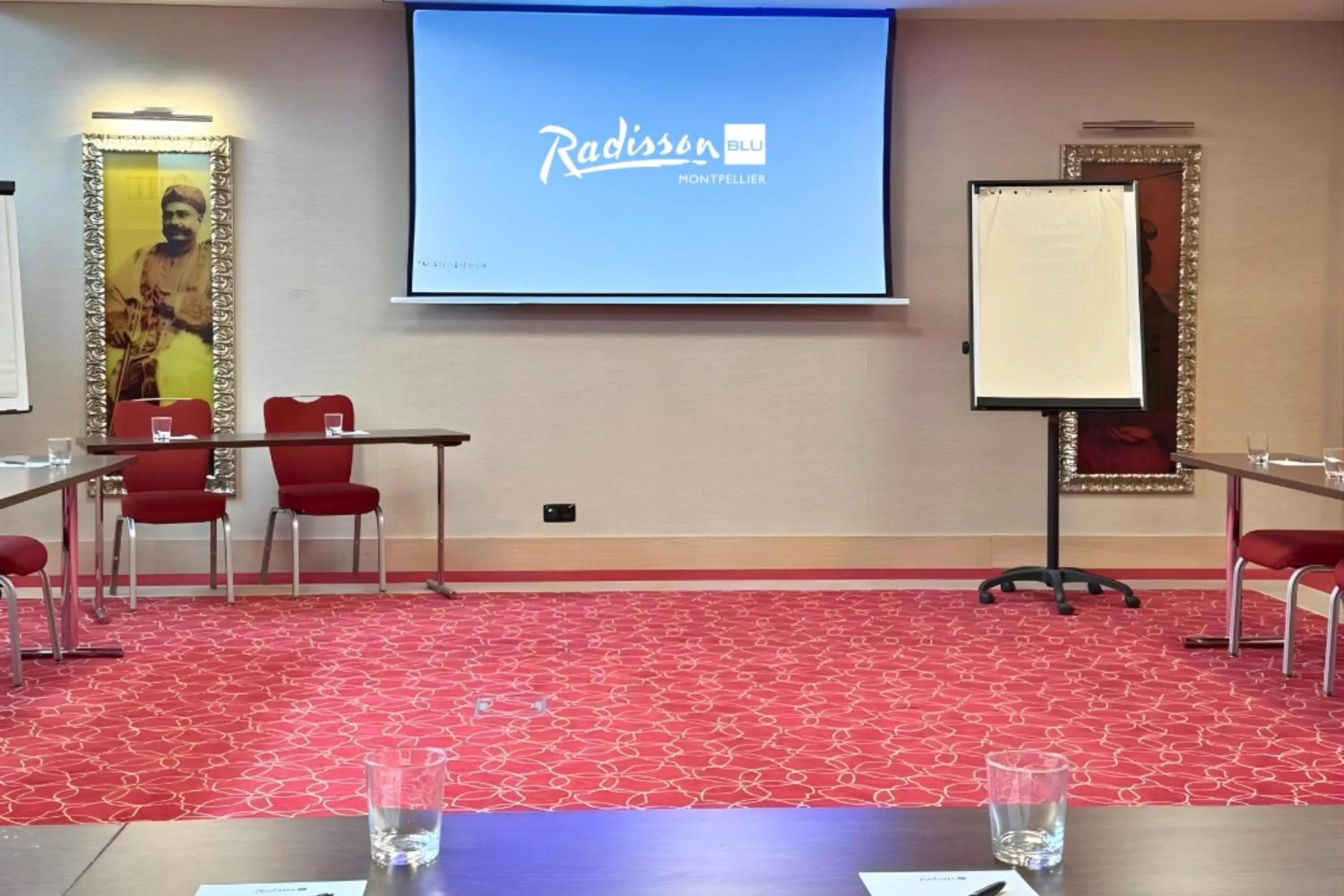 Meeting/conference room in Radisson Blu Hotel, Montpellier