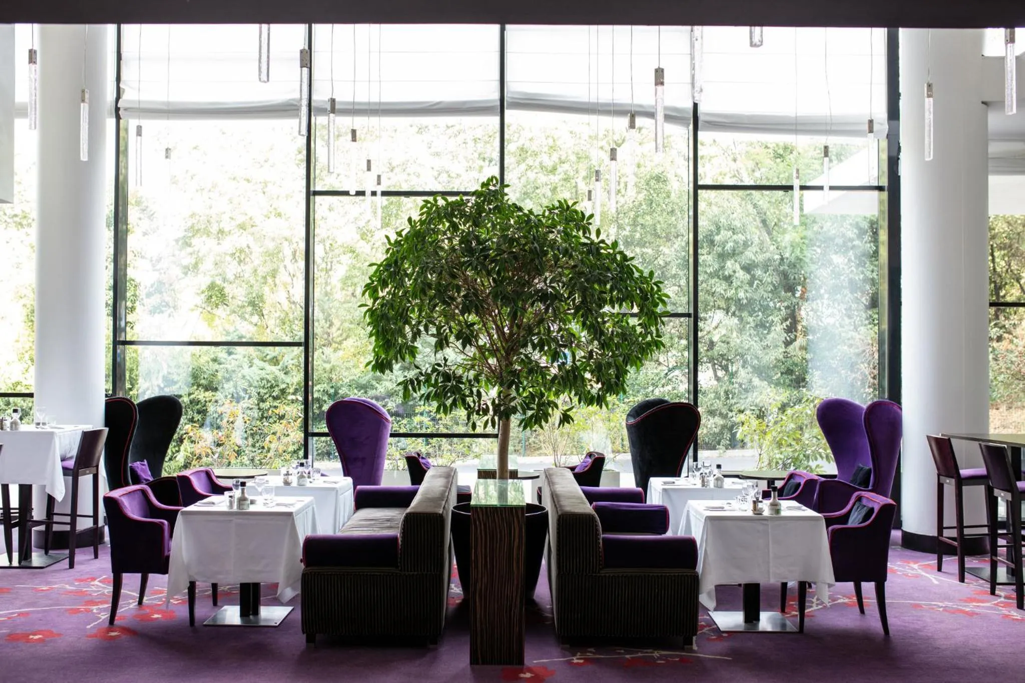 Restaurant/places to eat in Radisson Blu Hotel, Montpellier