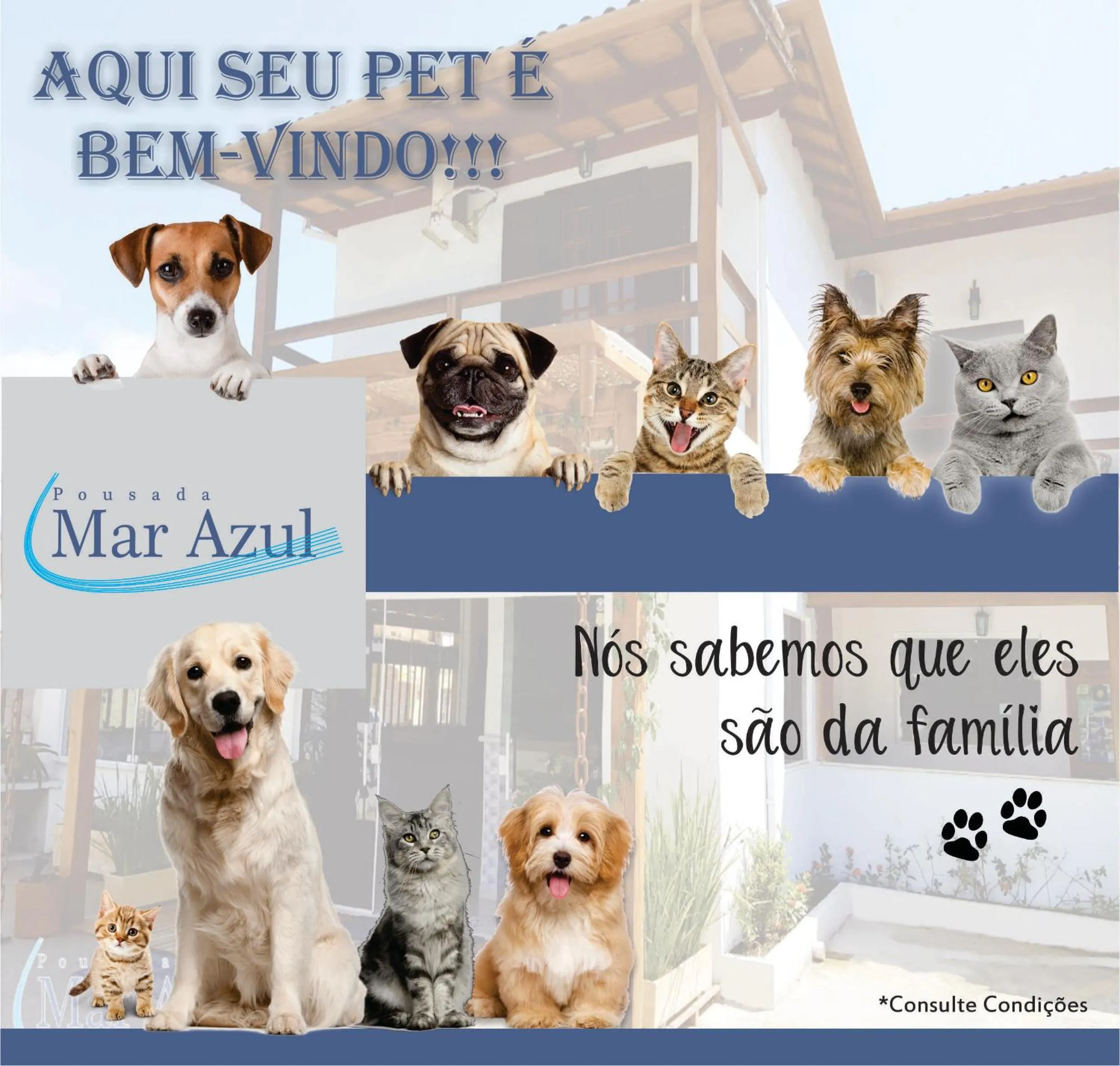 Pets in Pousada Mar Azul