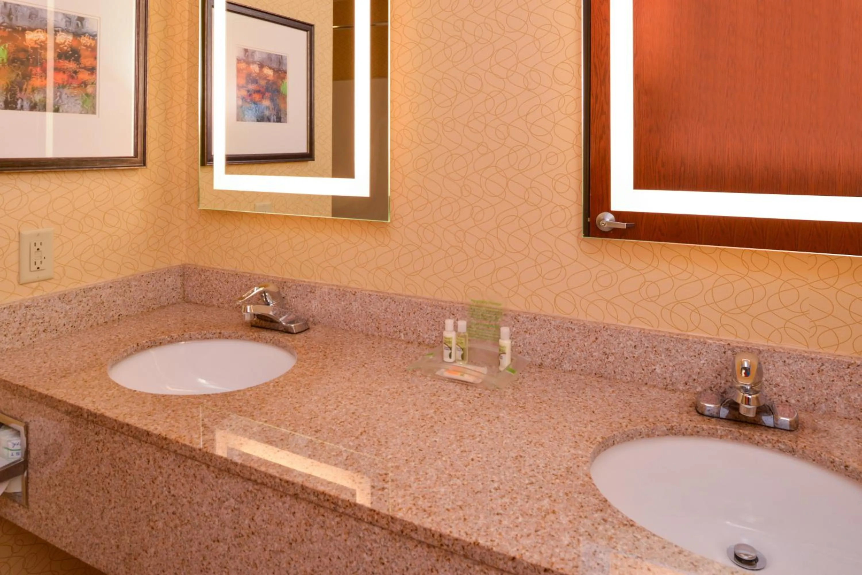Bathroom in Holiday Inn Poplar Bluff by IHG