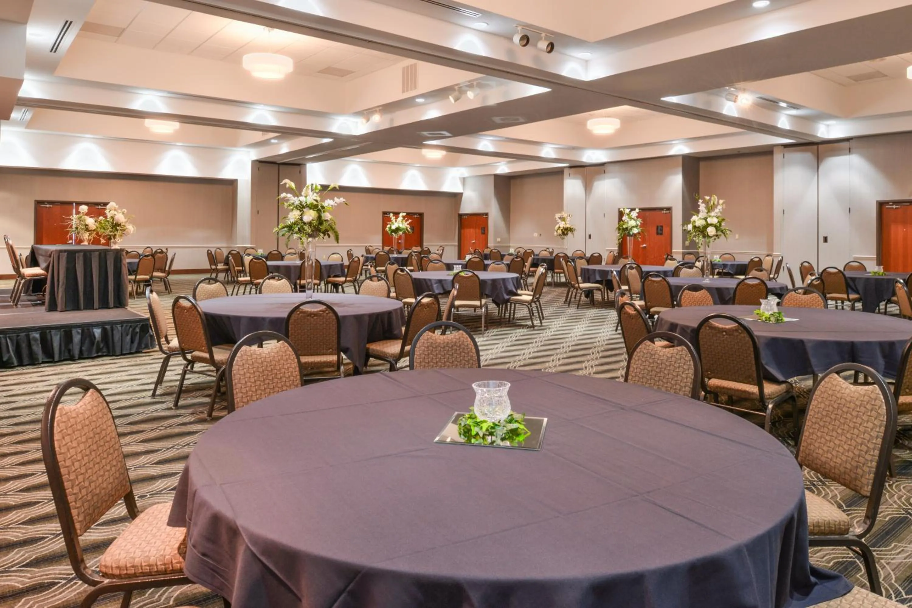 Banquet/Function facilities in Holiday Inn Poplar Bluff by IHG