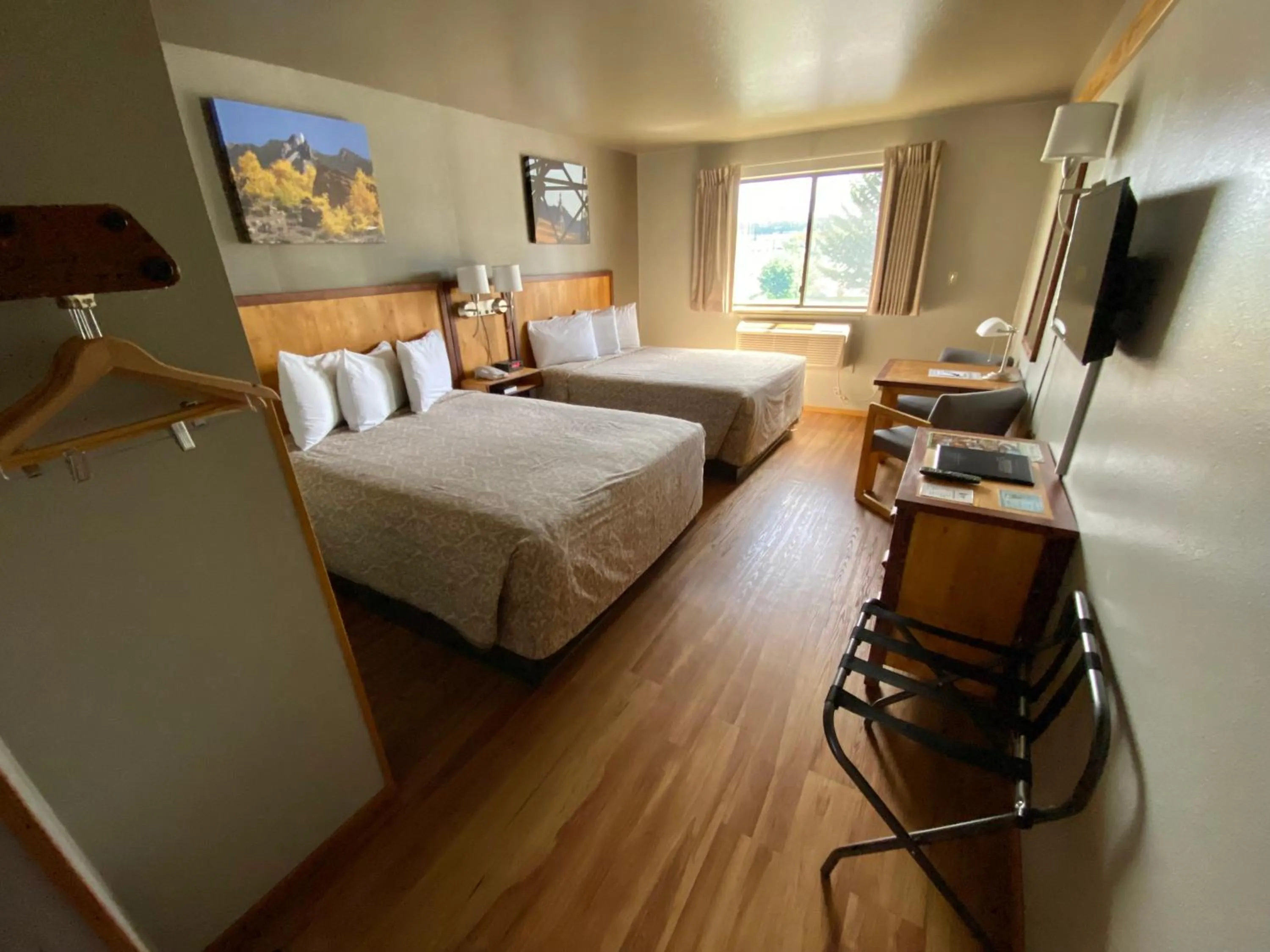 Animals, Bed in Rocker Inn