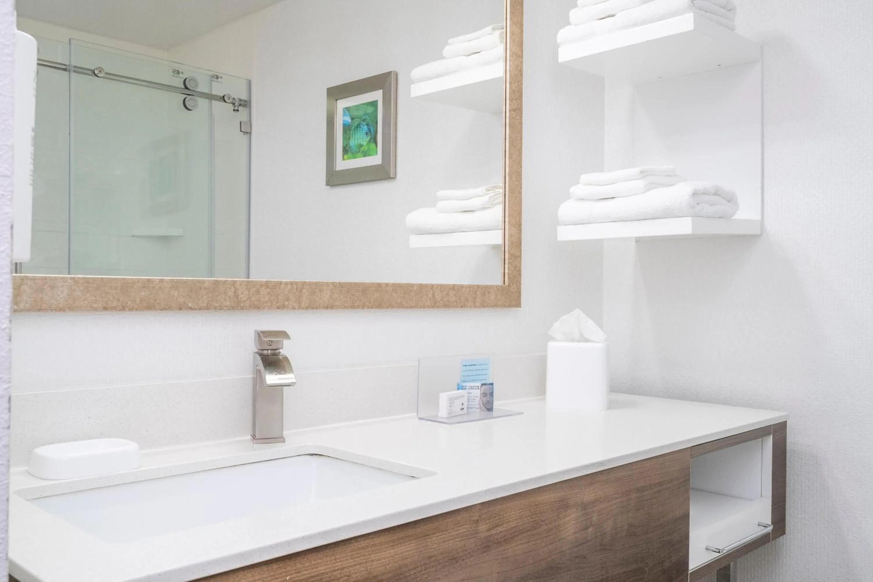 Bathroom in Hampton Inn by Hilton Spring Hill