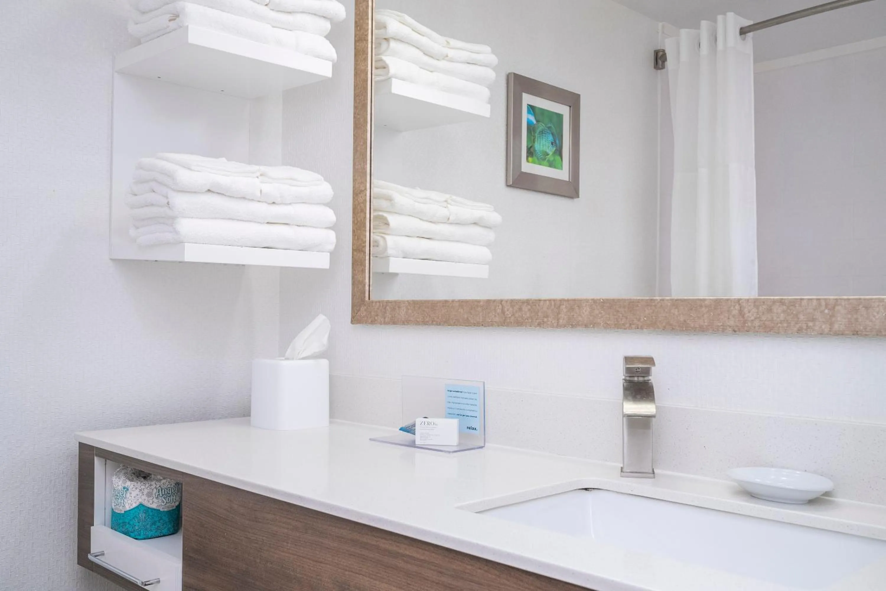 Bathroom in Hampton Inn by Hilton Spring Hill