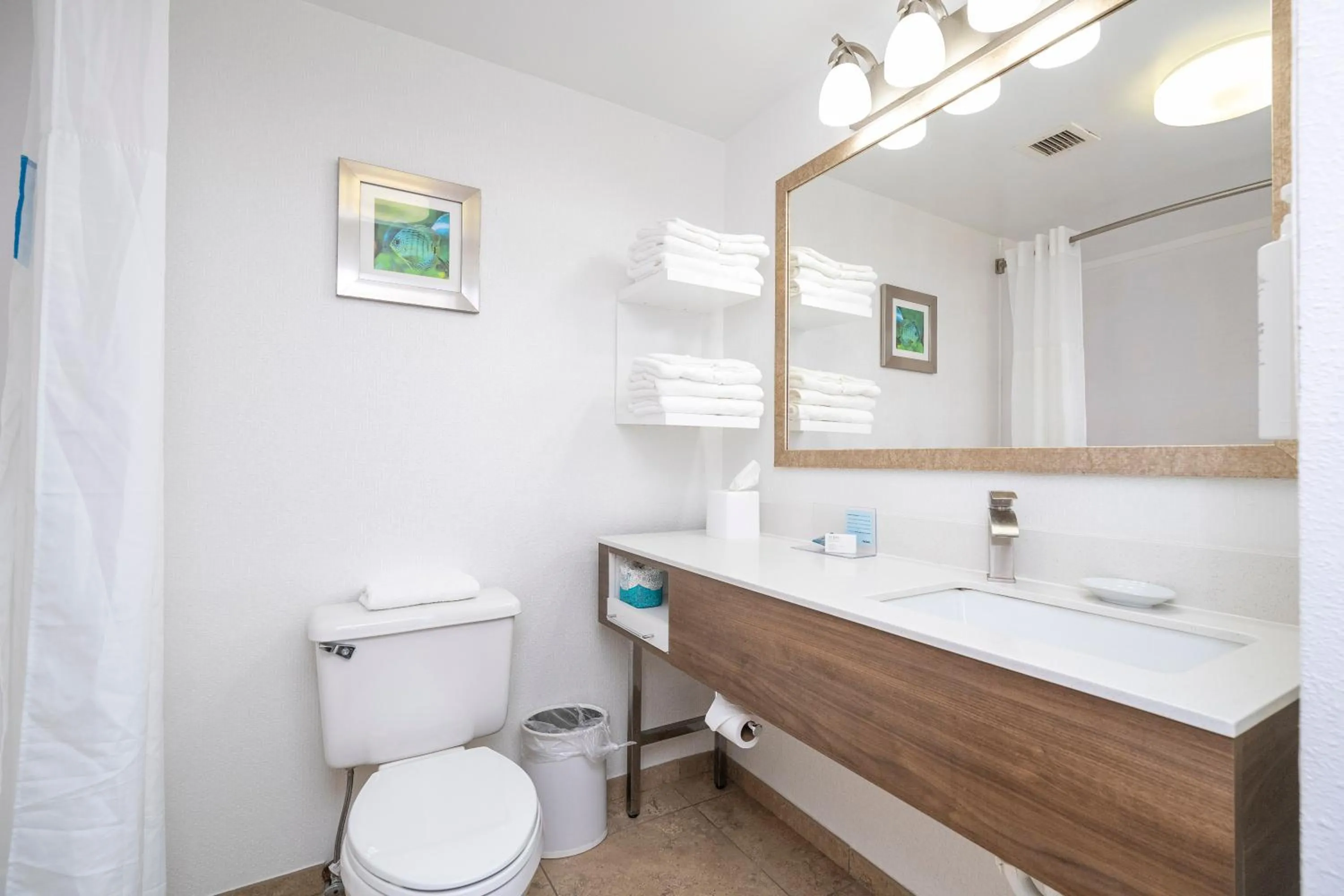 Bathroom in Hampton Inn by Hilton Spring Hill