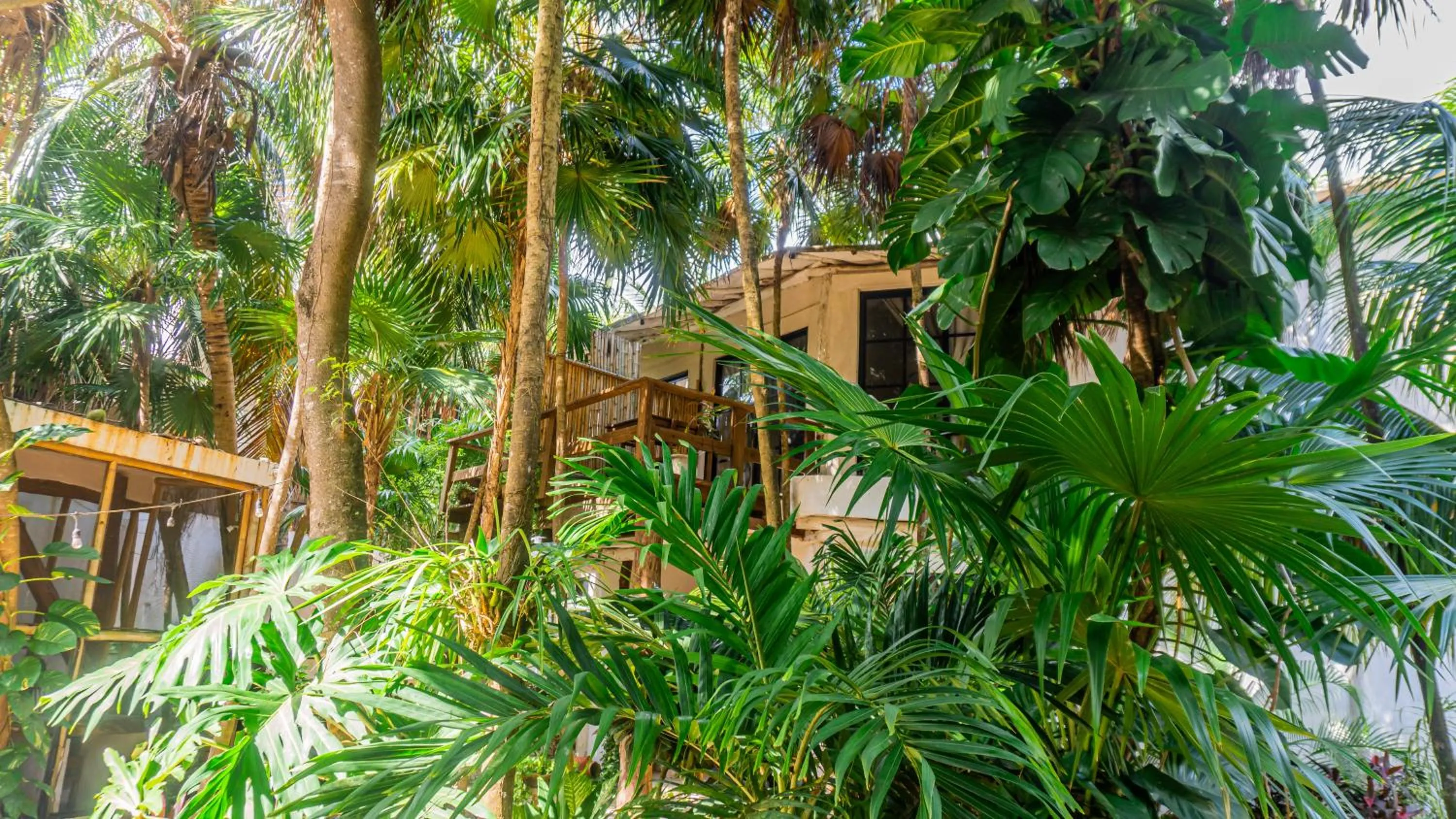 Natural landscape in Casa Ambar Hotel & Boutique Tulum