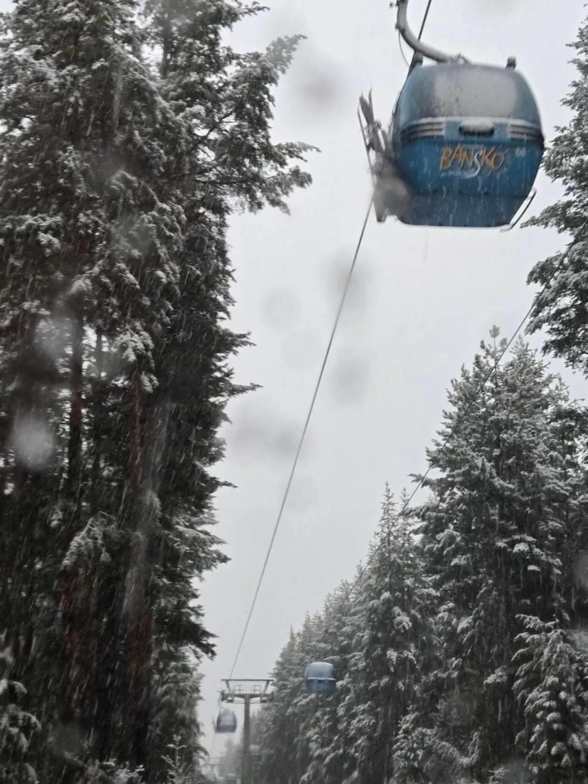 Evelina Palace Hotel